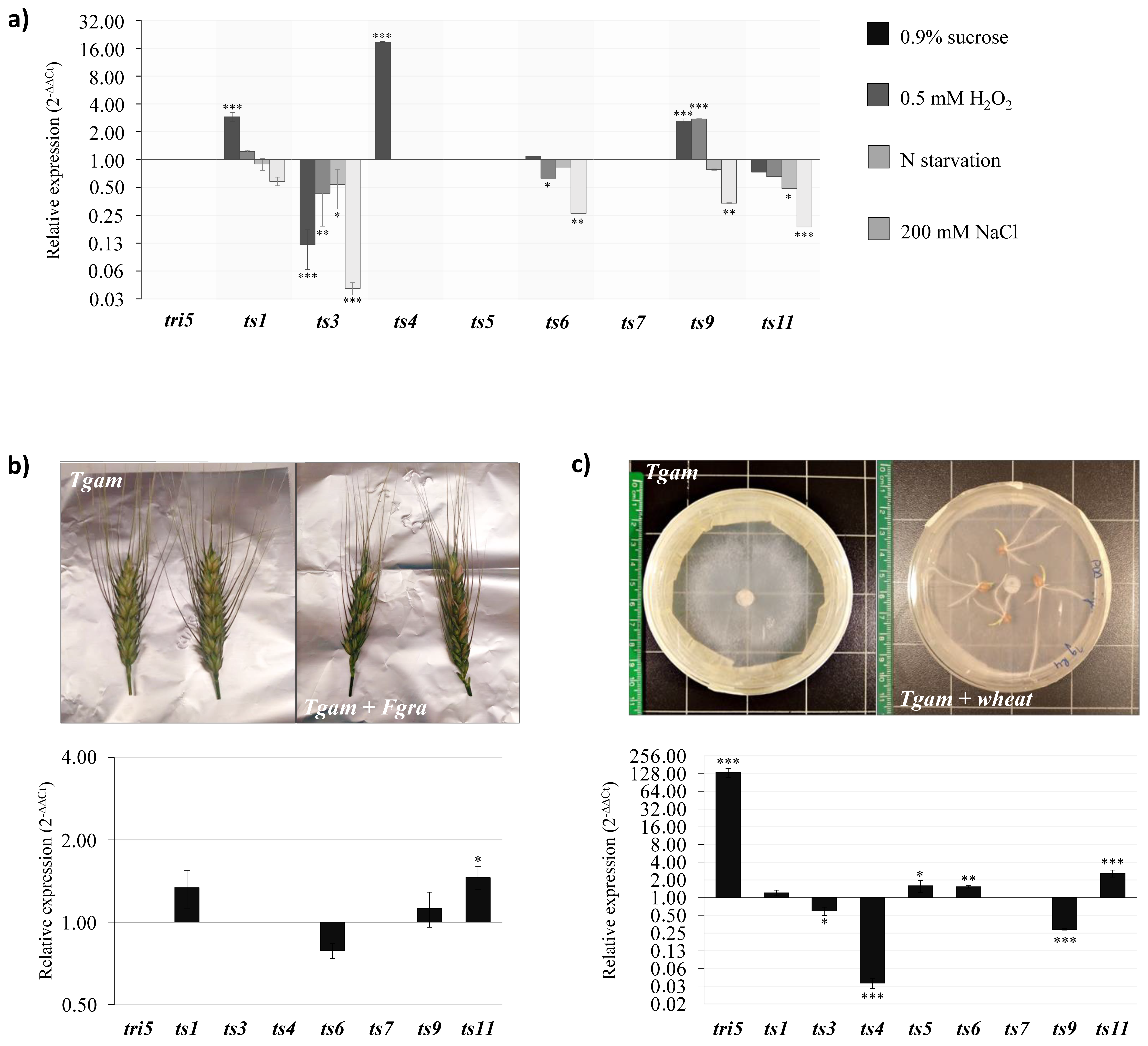 Microorganisms 08 01603 g003 Microorganisms 08 01603 g003