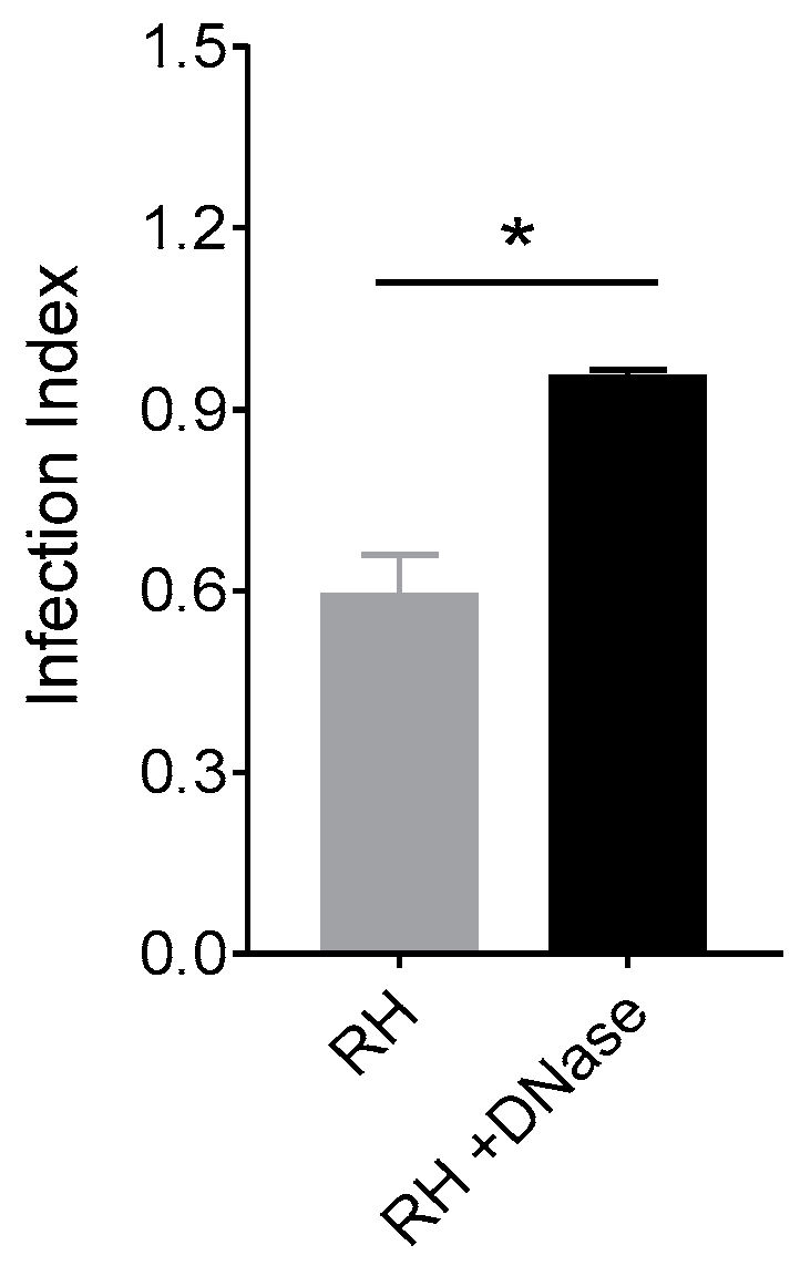 Microorganisms 08 01628 g005 Microorganisms 08 01628 g005