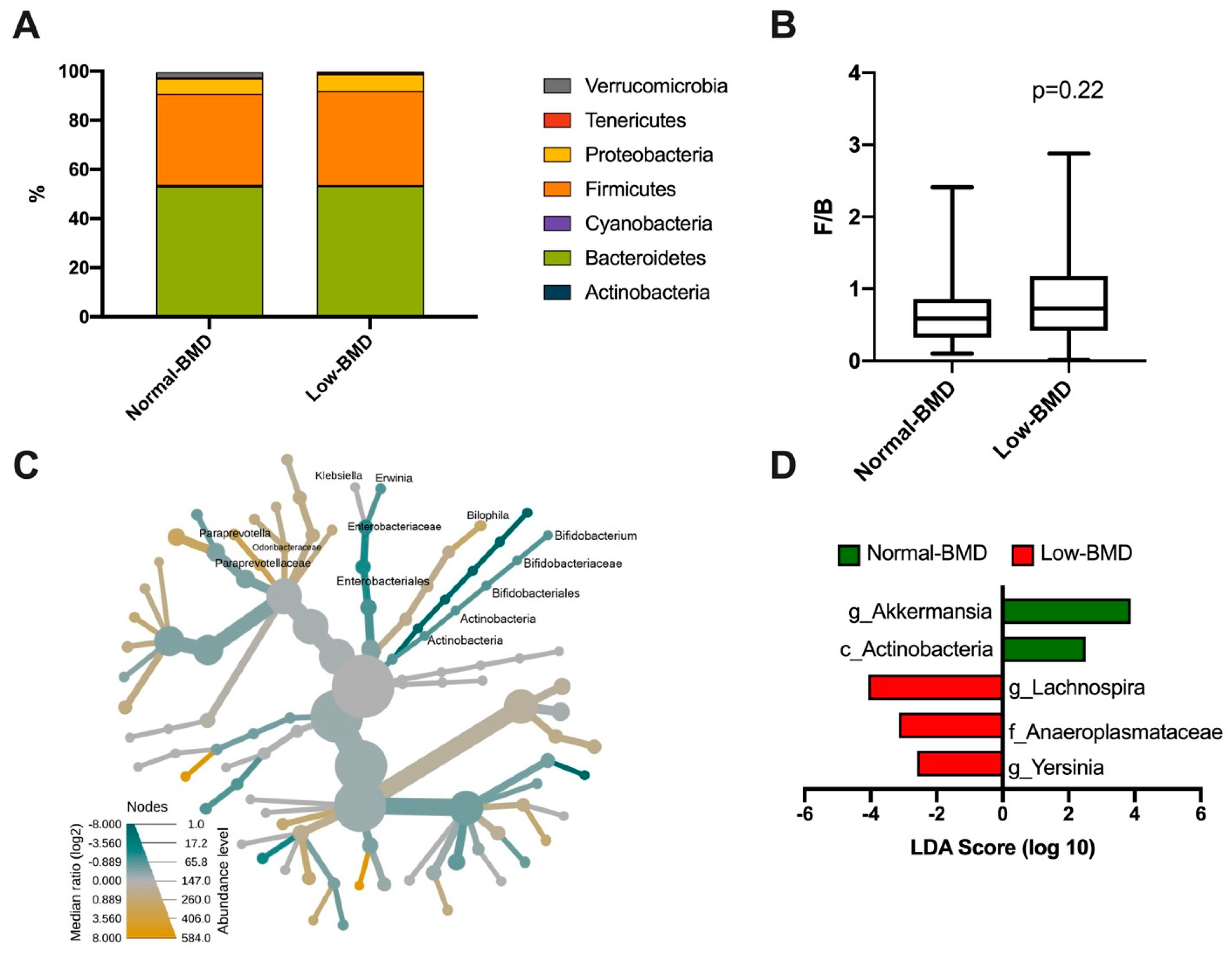 Microorganisms 08 01630 g002