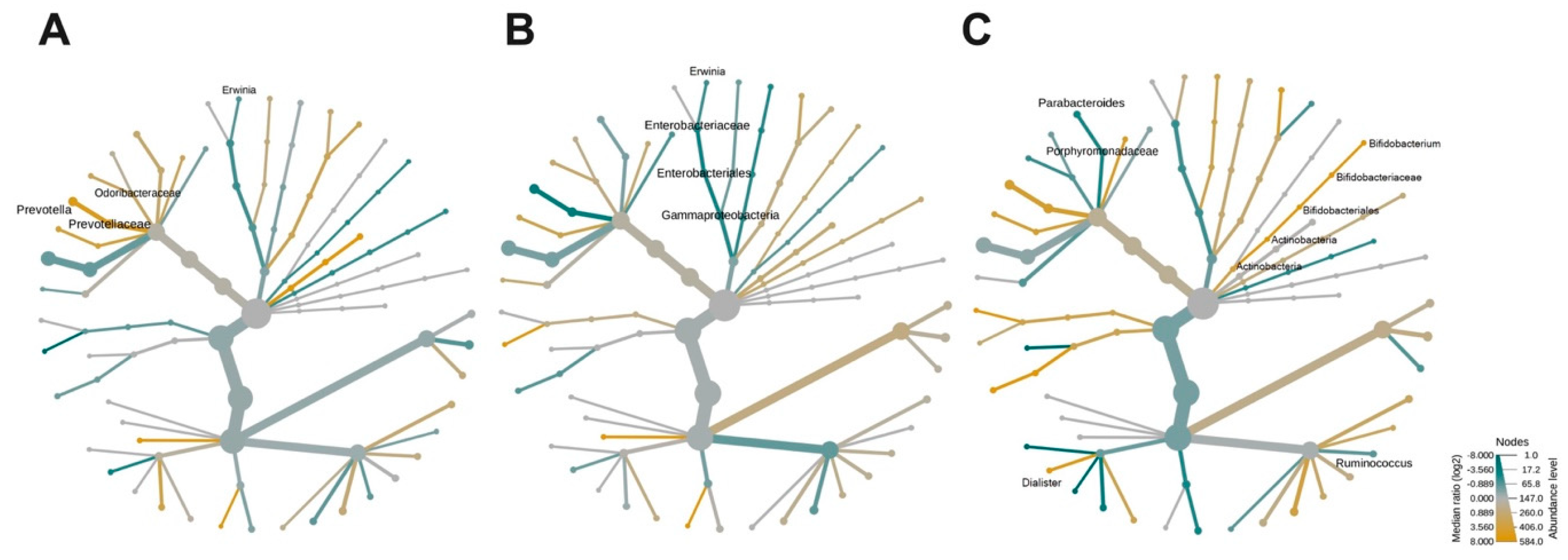 Microorganisms 08 01630 g003