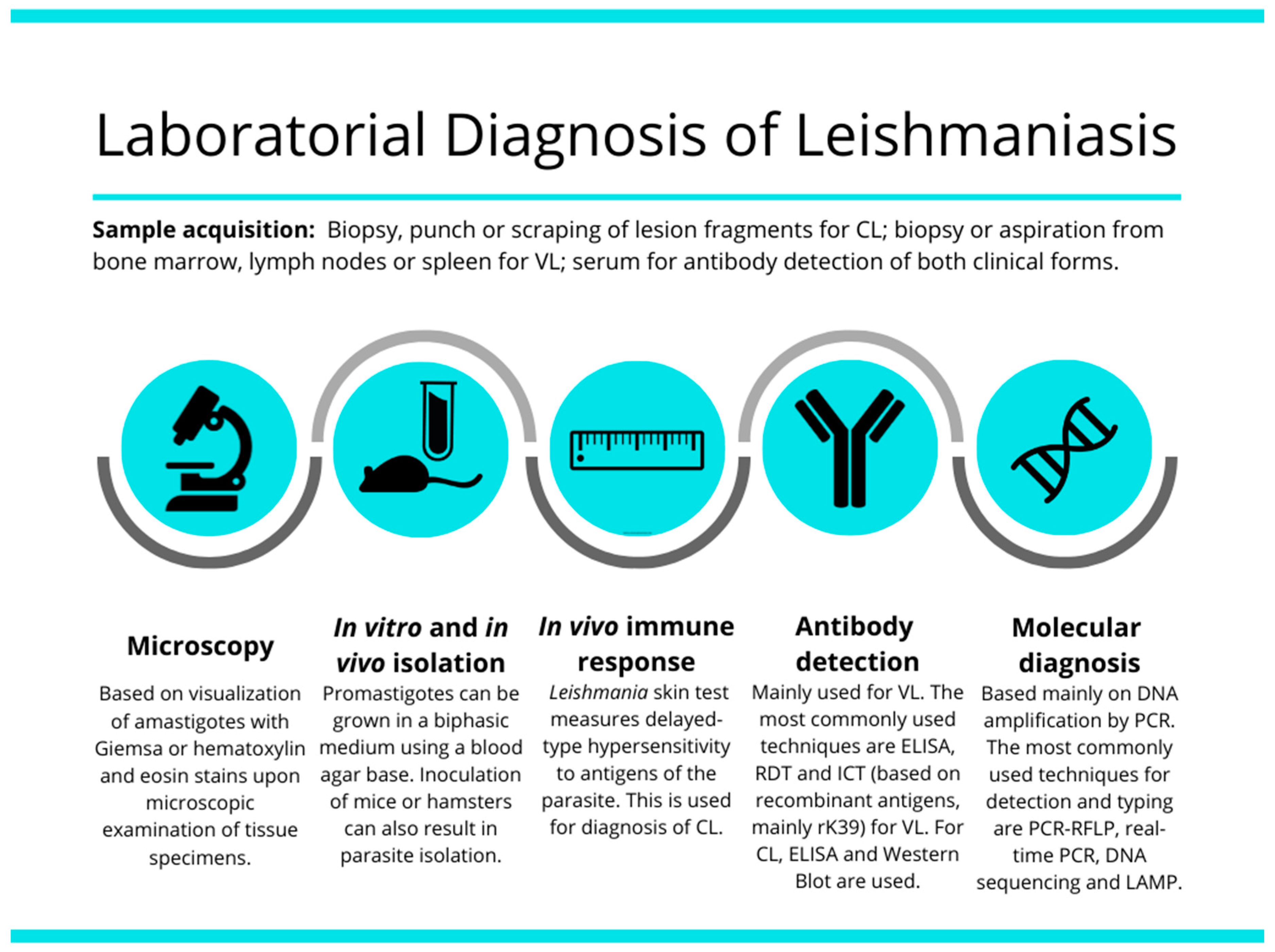 Microorganisms | Free Full-Text | Laboratory Diagnosis of Cutaneous and  Visceral Leishmaniasis: Current and Future Methods | HTML