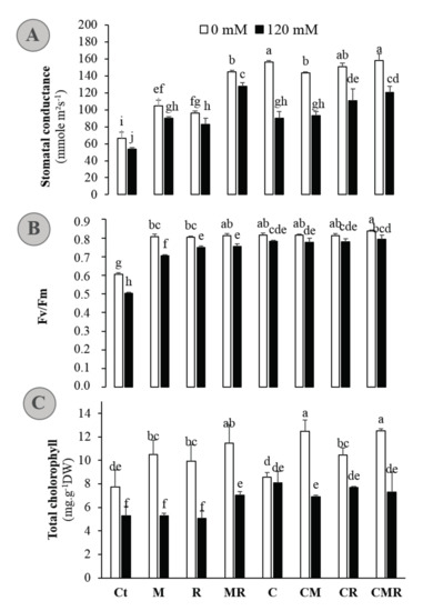 Microorganisms Free Full Text Potential Of Native Arbuscular Mycorrhizal Fungi Rhizobia And Or Green Compost As Alfalfa Medicago Sativa Enhancers Under Salinity Html