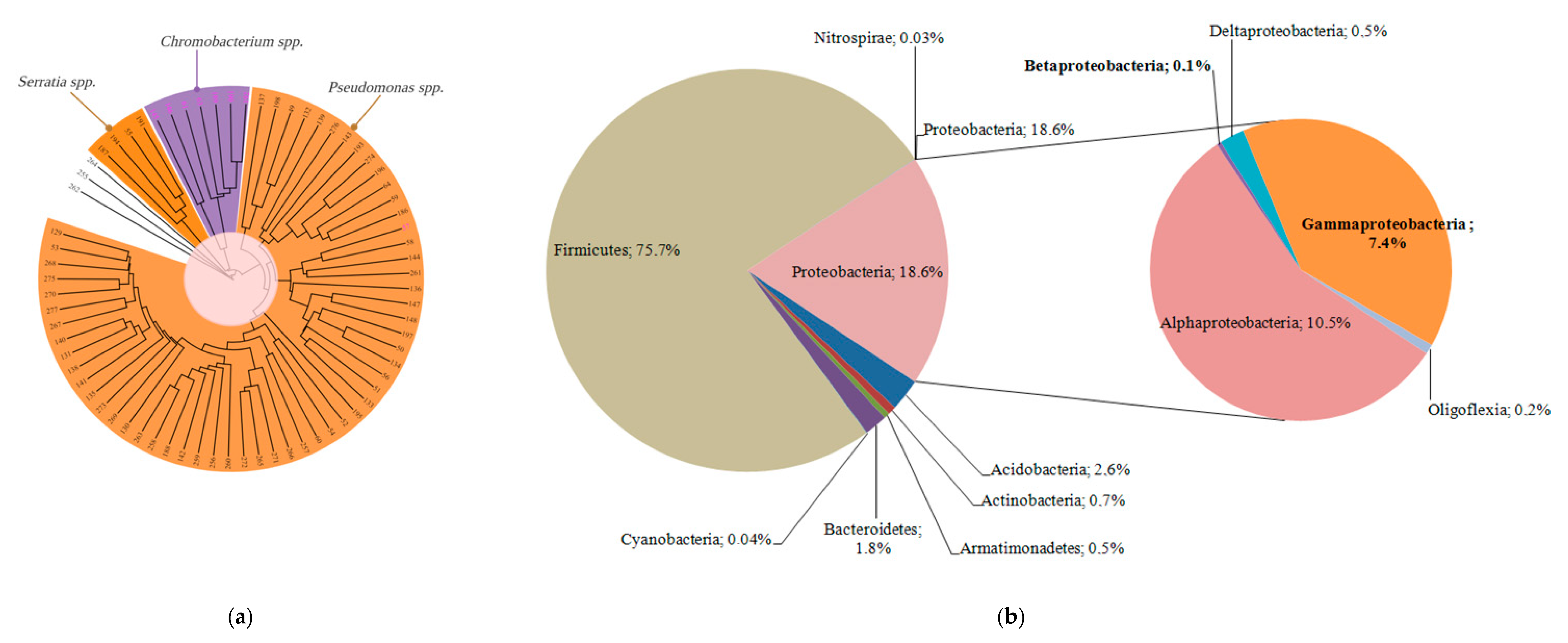 Microorganisms 08 01696 g007