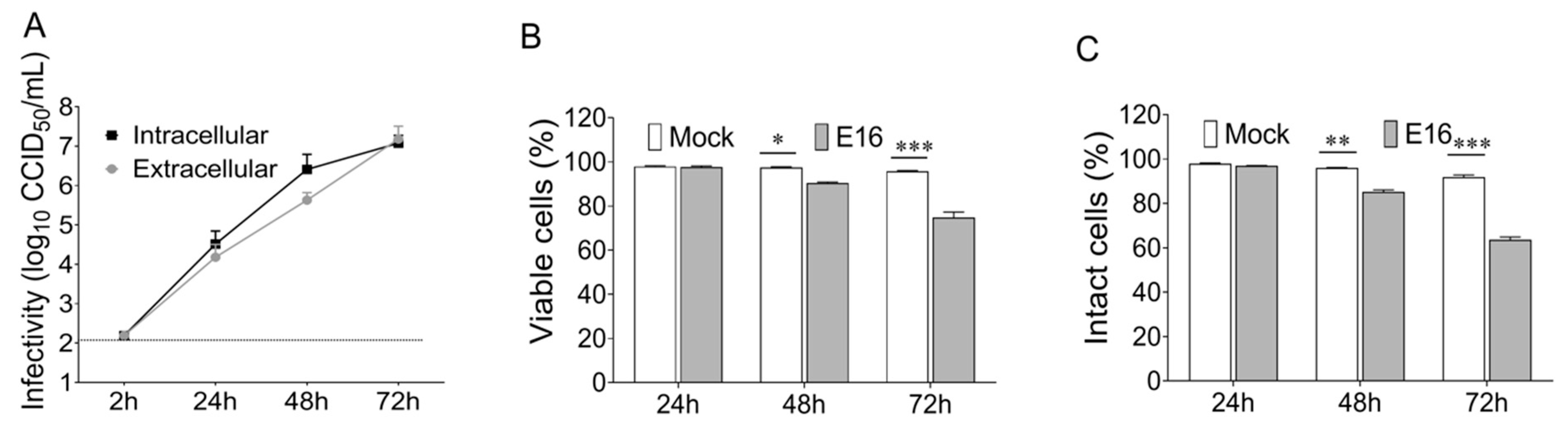 Microorganisms Free Full Text Extracellular Vesicles Released By Enterovirus Infected Endoc Bh1 Cells Mediate Non Lytic Viral Spread Html