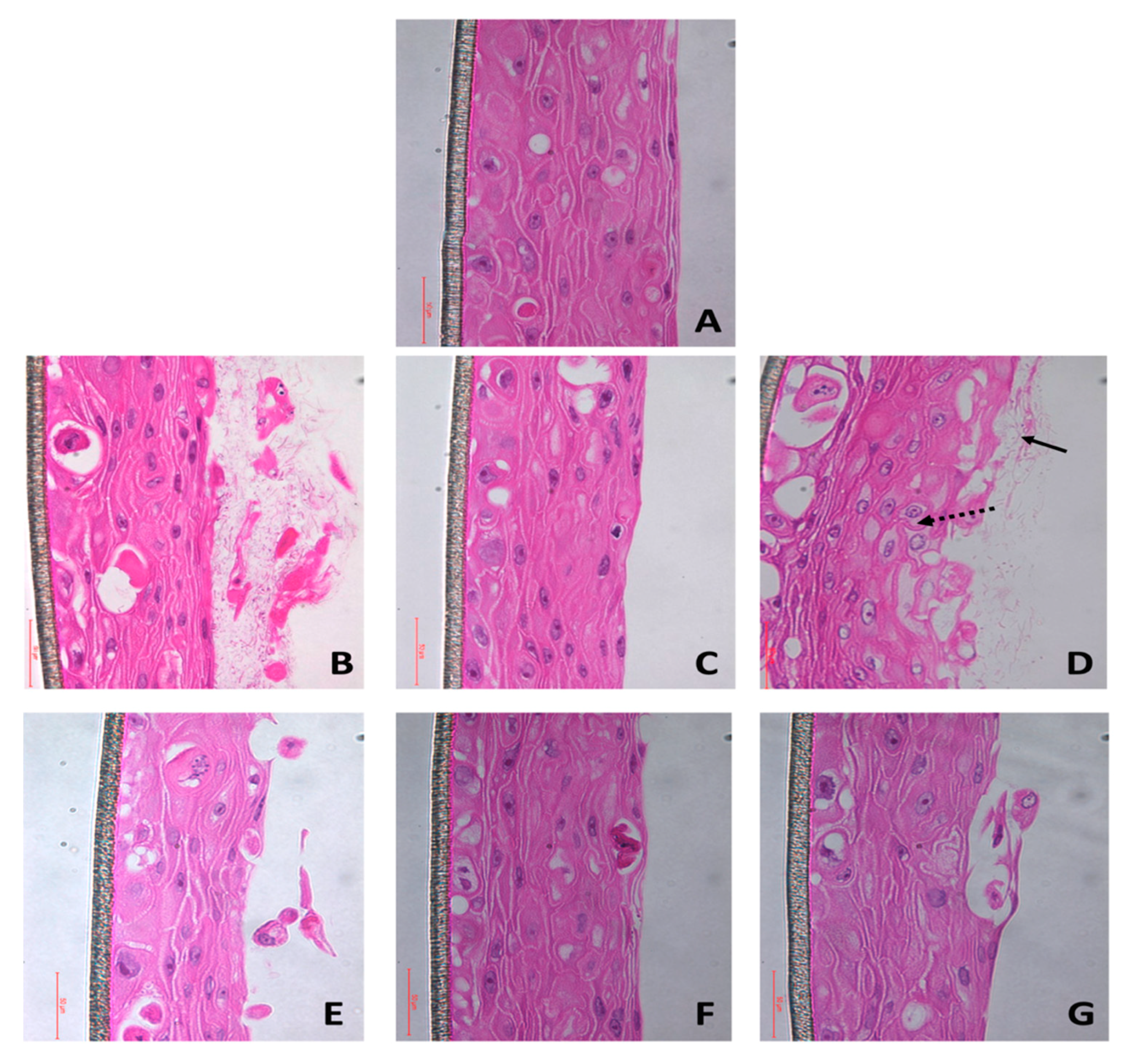 Microorganisms 08 01771 g001 Microorganisms 08 01771 g001