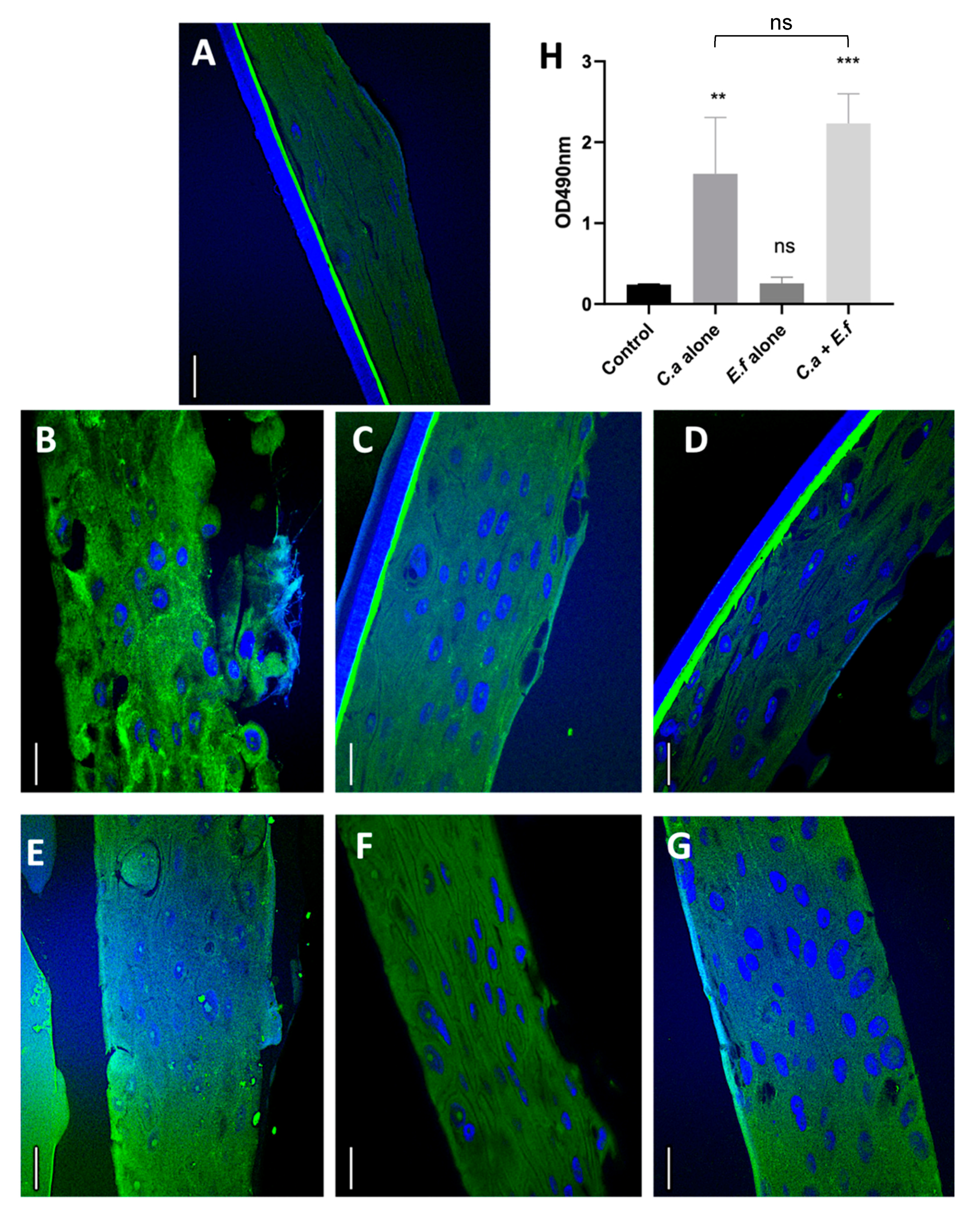 Microorganisms 08 01771 g003 Microorganisms 08 01771 g003