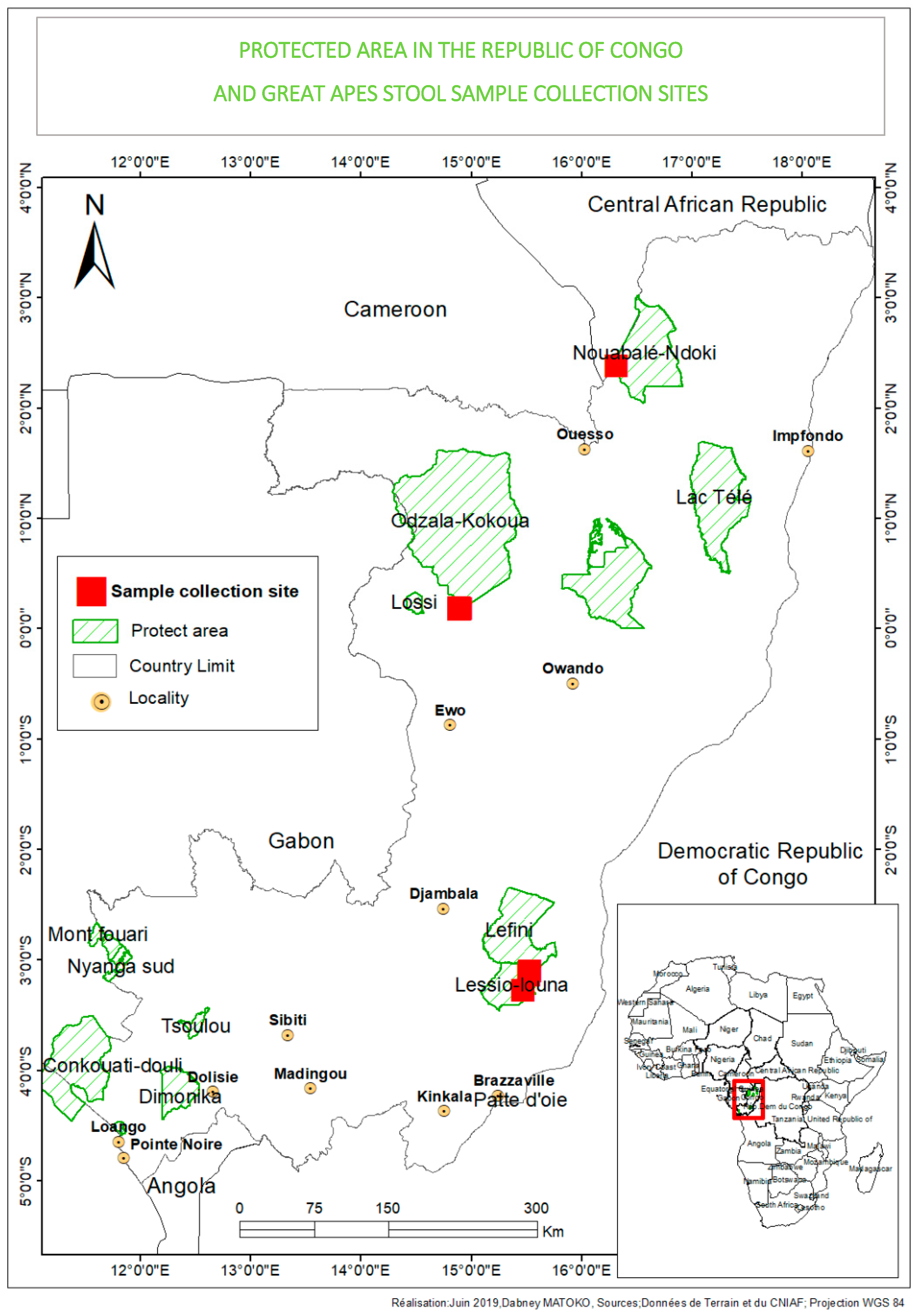Microorganisms 08 01779 g001