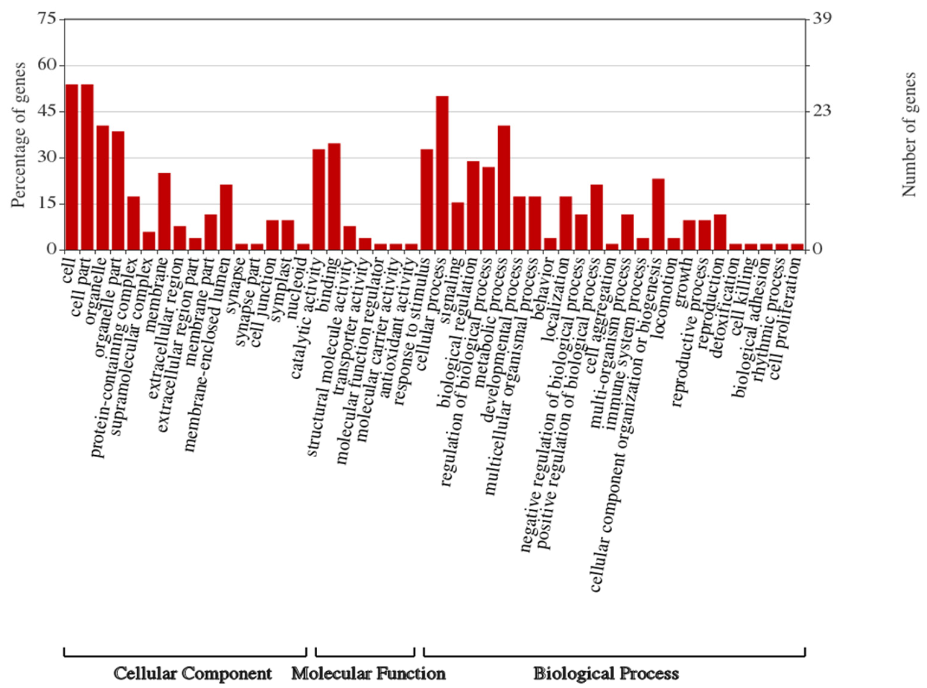 Microorganisms Free Full Text Proteomics And Lipidomics Investigations To Decipher The Behavior Of Willaertia Magna C2c Maky According To Different Culture Modes Html