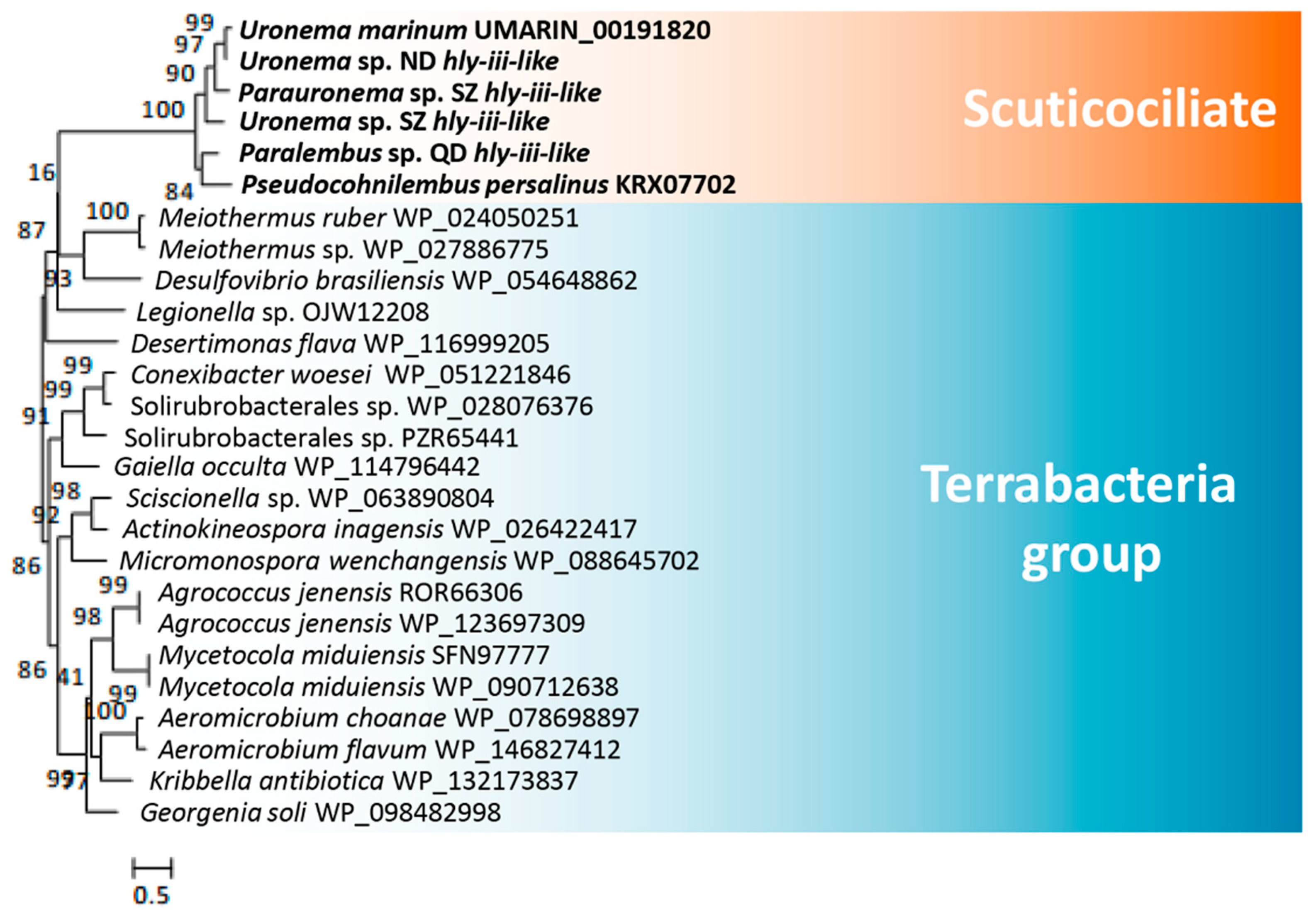 Microorganisms 08 01838 g005 Microorganisms 08 01838 g005