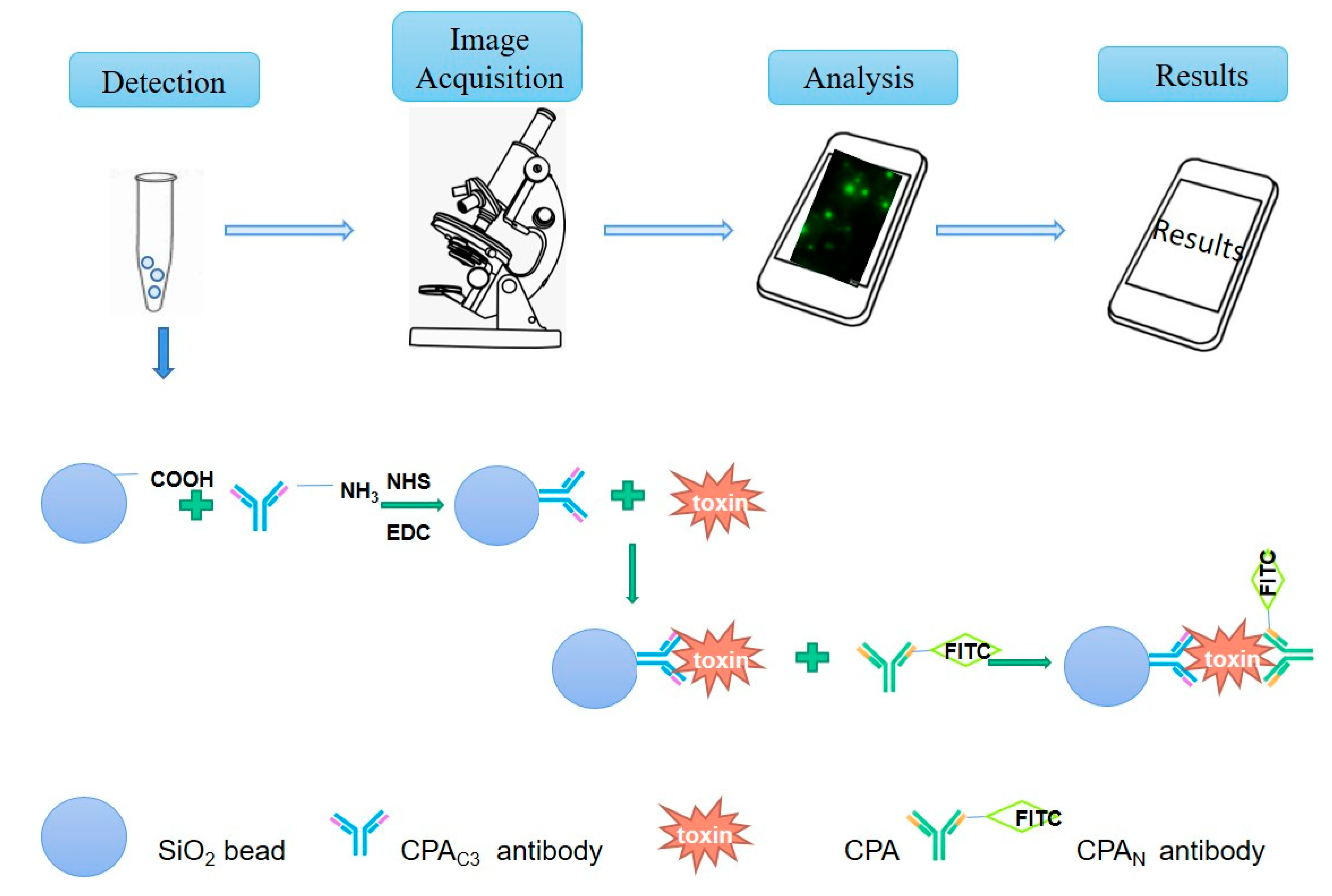 Antigen Select: Clostridium Perfringens C, D and Net F – Lake Immunogenics