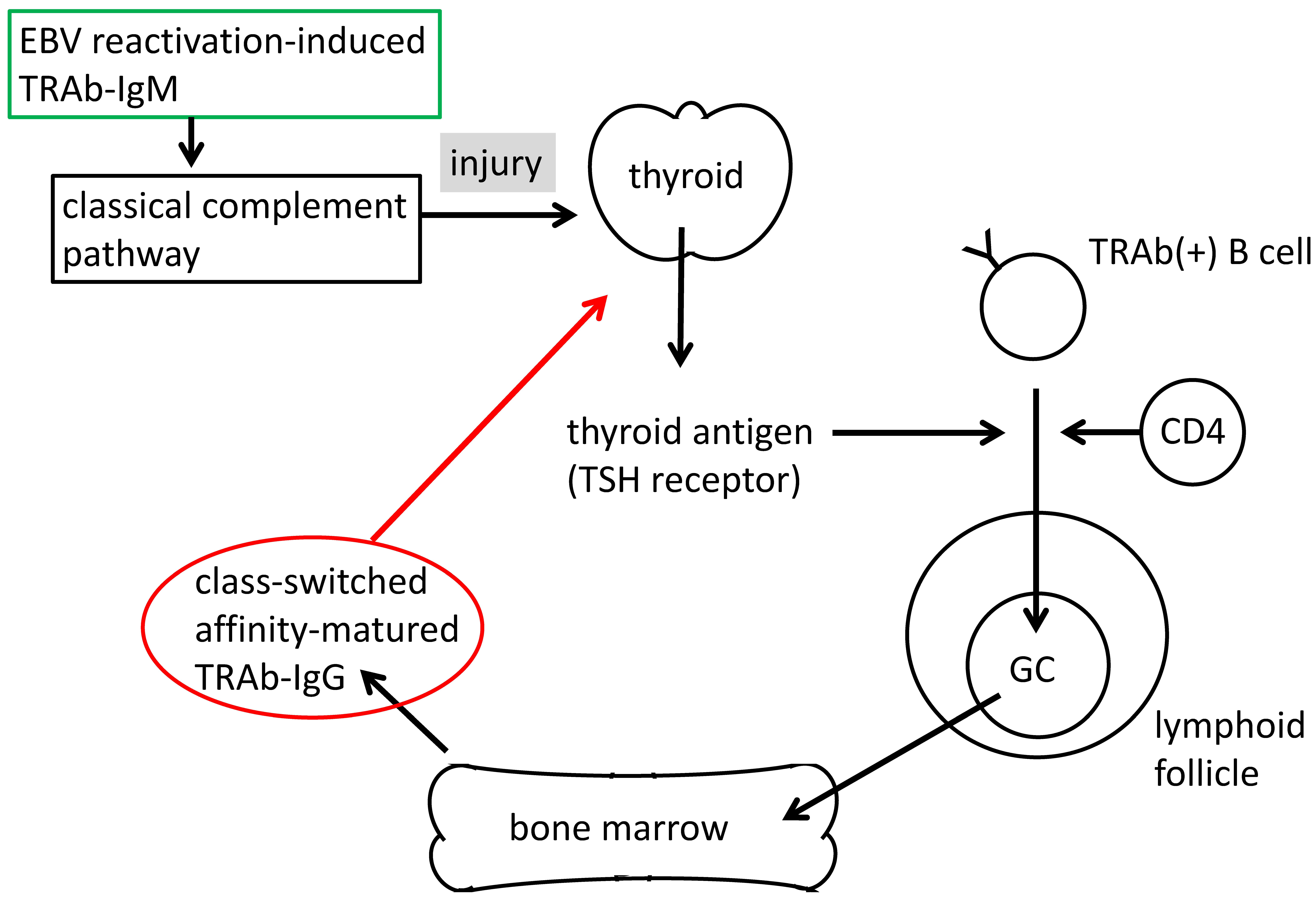 Microorganisms 08 01875 g004 Microorganisms 08 01875 g004