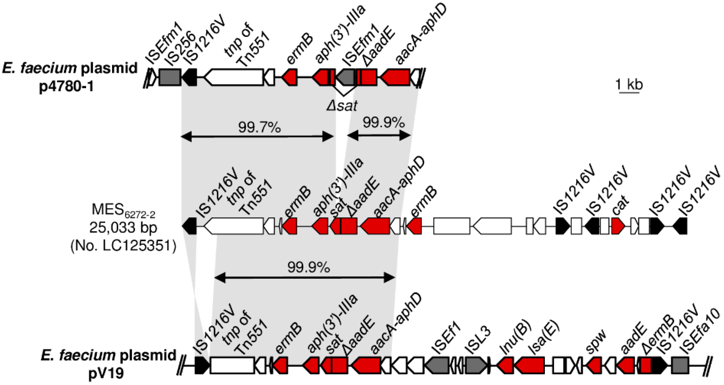Microorganisms 08 01905 g004 Microorganisms 08 01905 g004