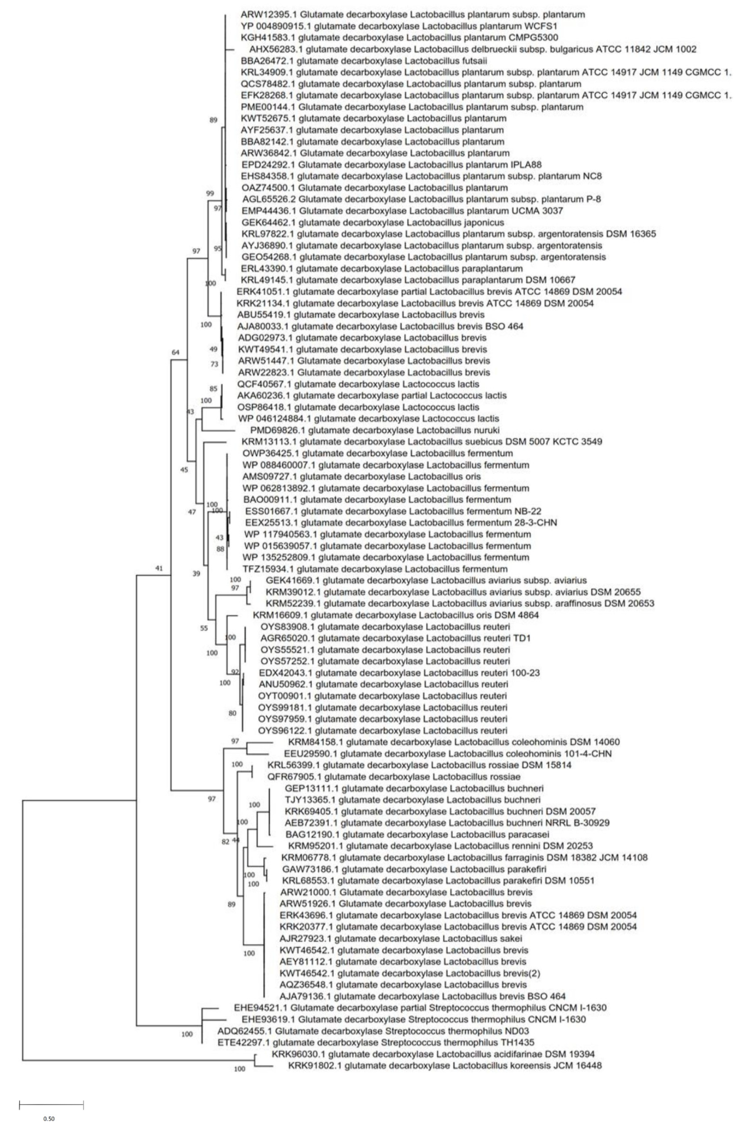 Microorganisms 08 01923 g003 Microorganisms 08 01923 g003