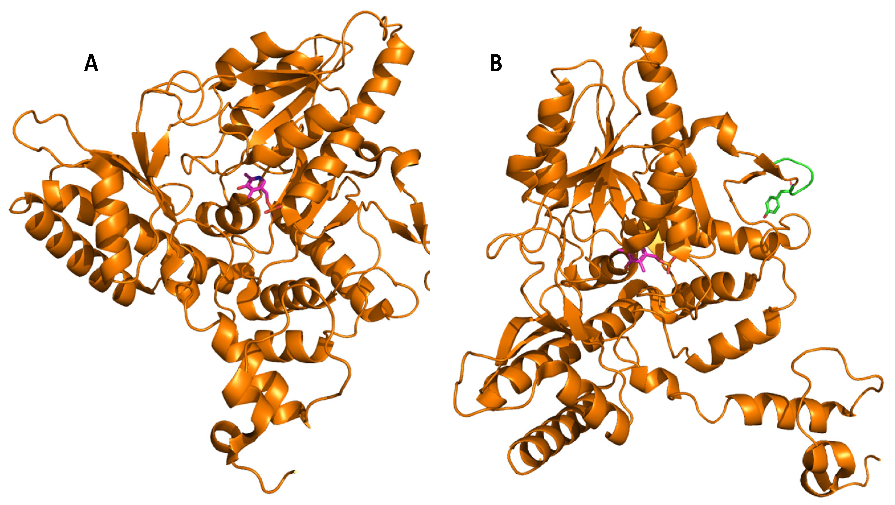 Microorganisms 08 01923 g004 Microorganisms 08 01923 g004
