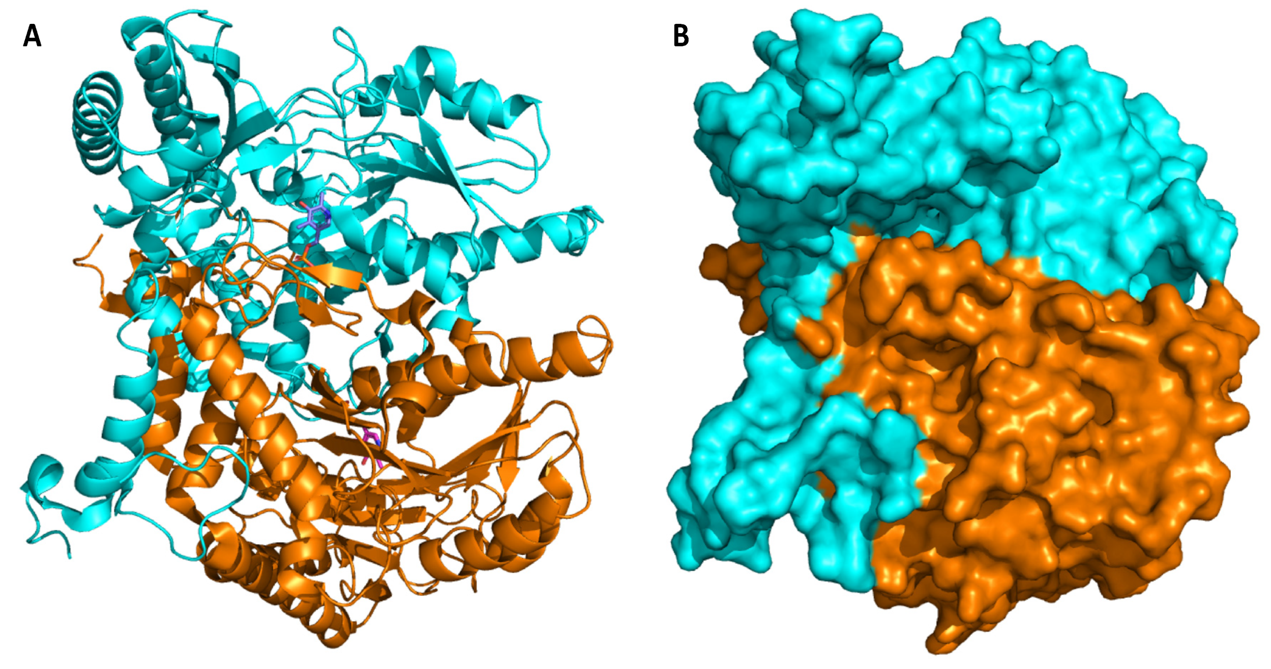 Microorganisms 08 01923 g007 Microorganisms 08 01923 g007