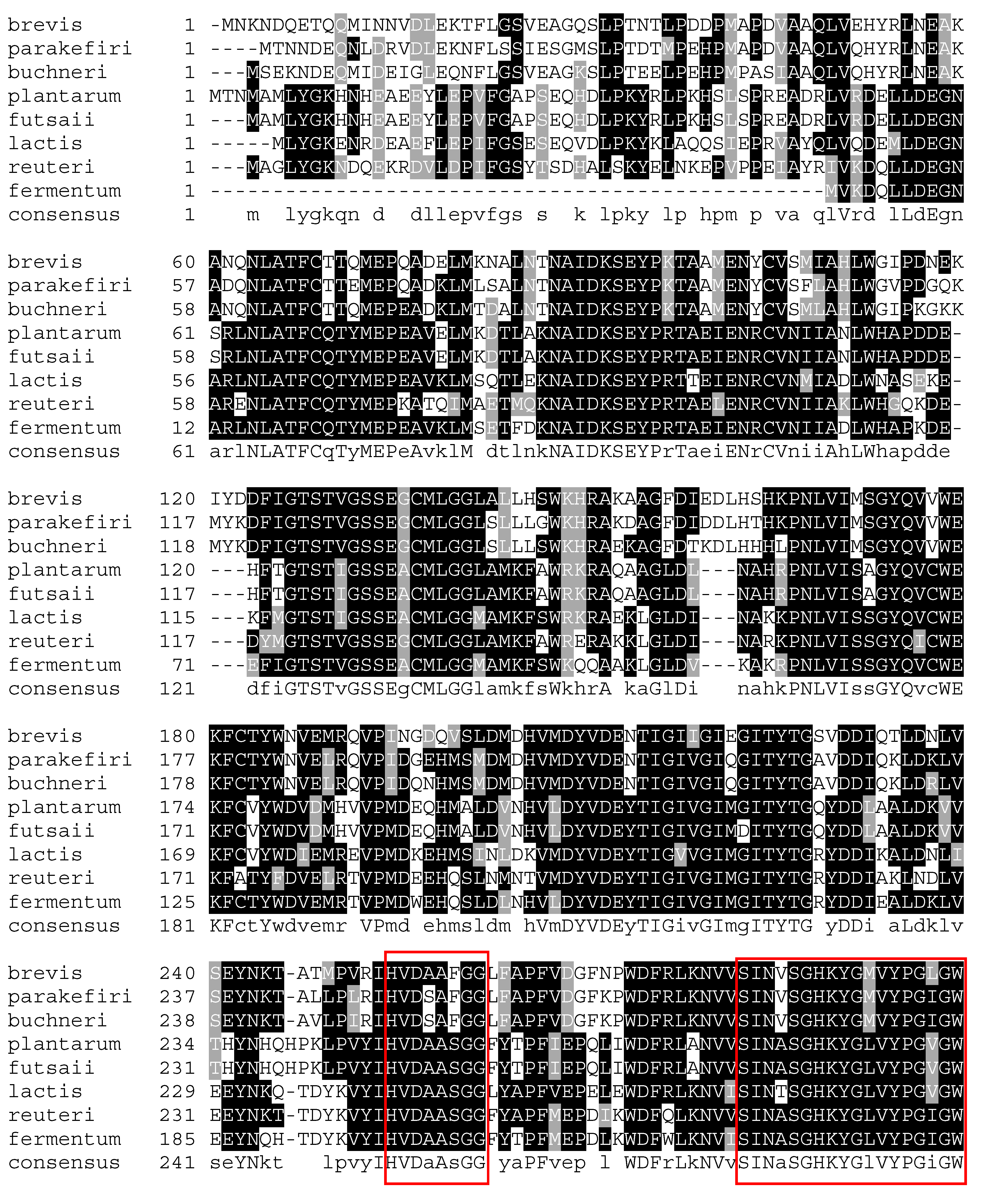 Microorganisms 08 01923 g008a Microorganisms 08 01923 g008a
