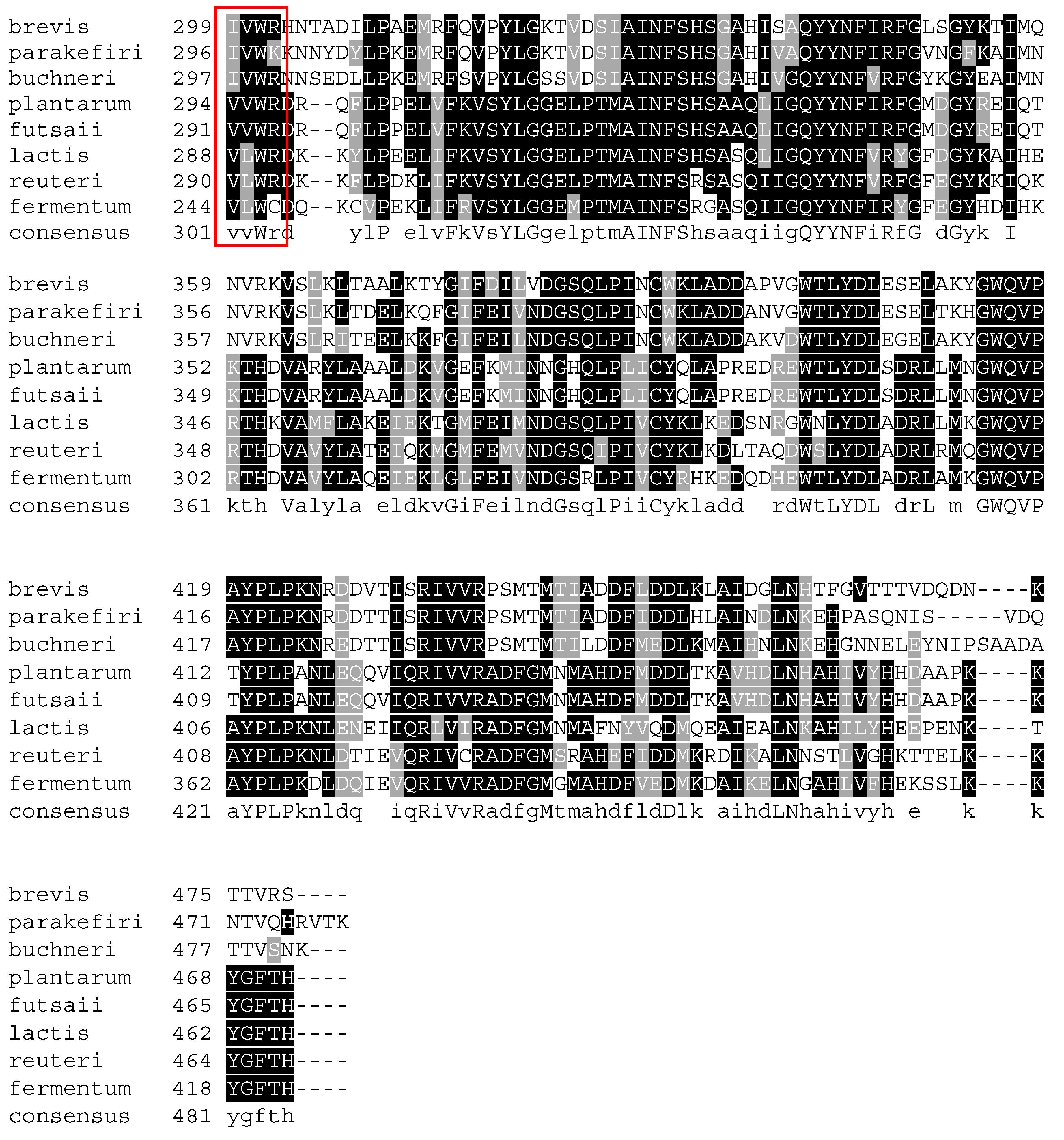 Microorganisms 08 01923 g008b Microorganisms 08 01923 g008b
