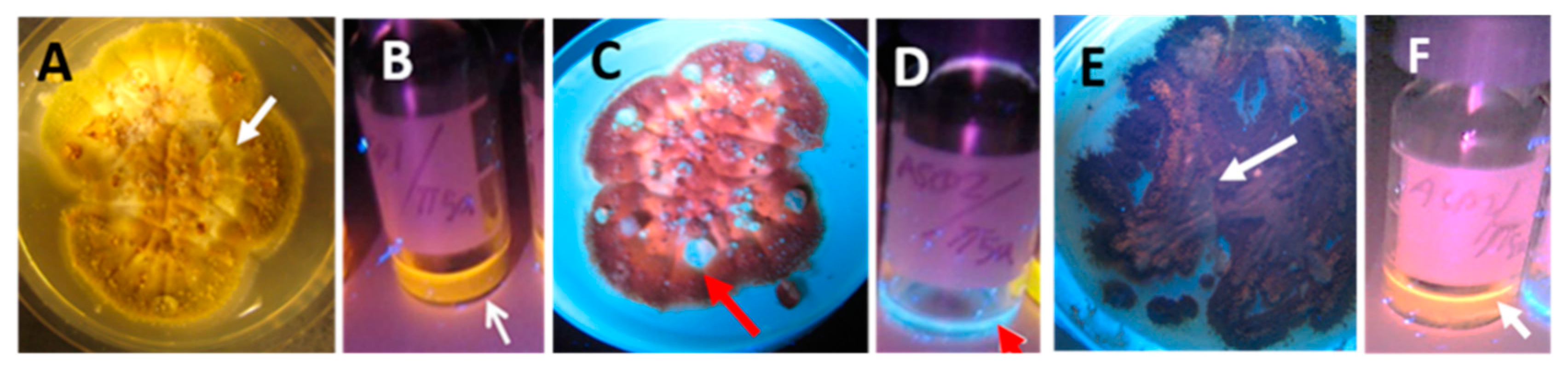 Microorganisms 08 01940 g006 Microorganisms 08 01940 g006