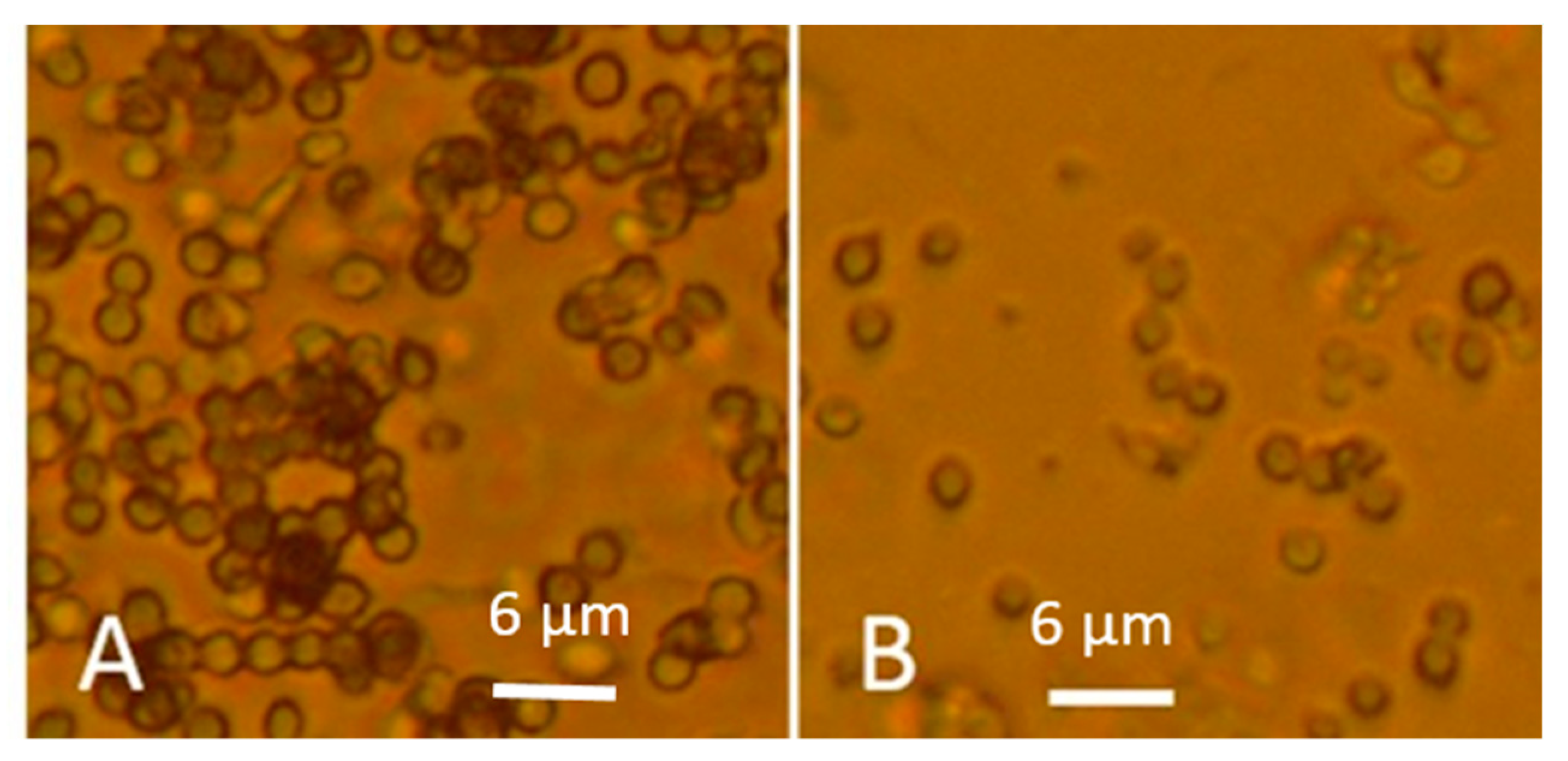 Microorganisms 08 01940 g008 Microorganisms 08 01940 g008