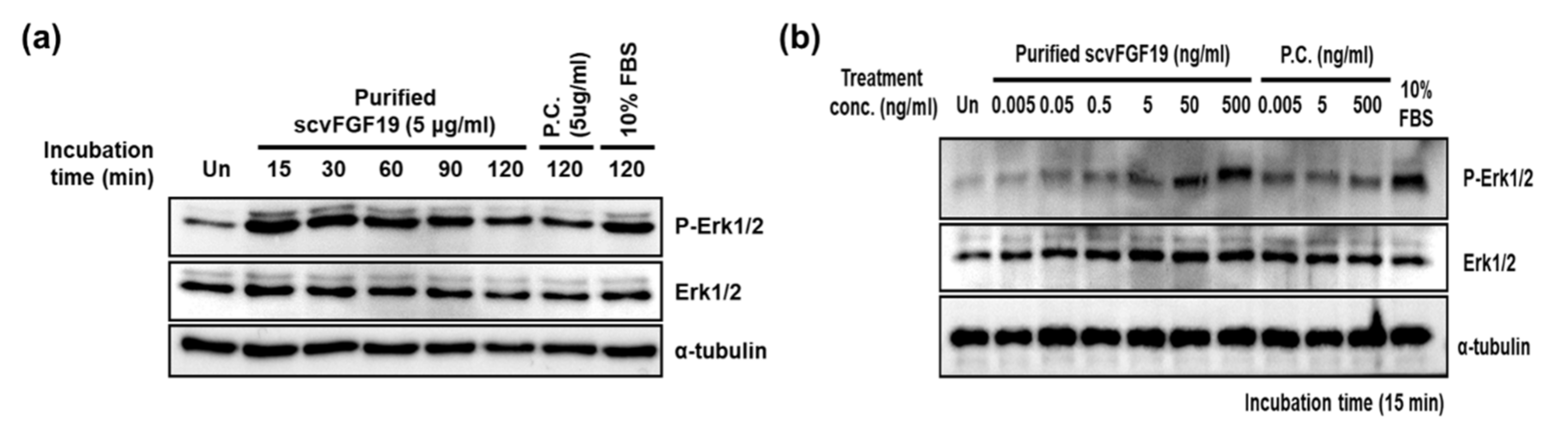 Microorganisms 08 01942 g006 Microorganisms 08 01942 g006