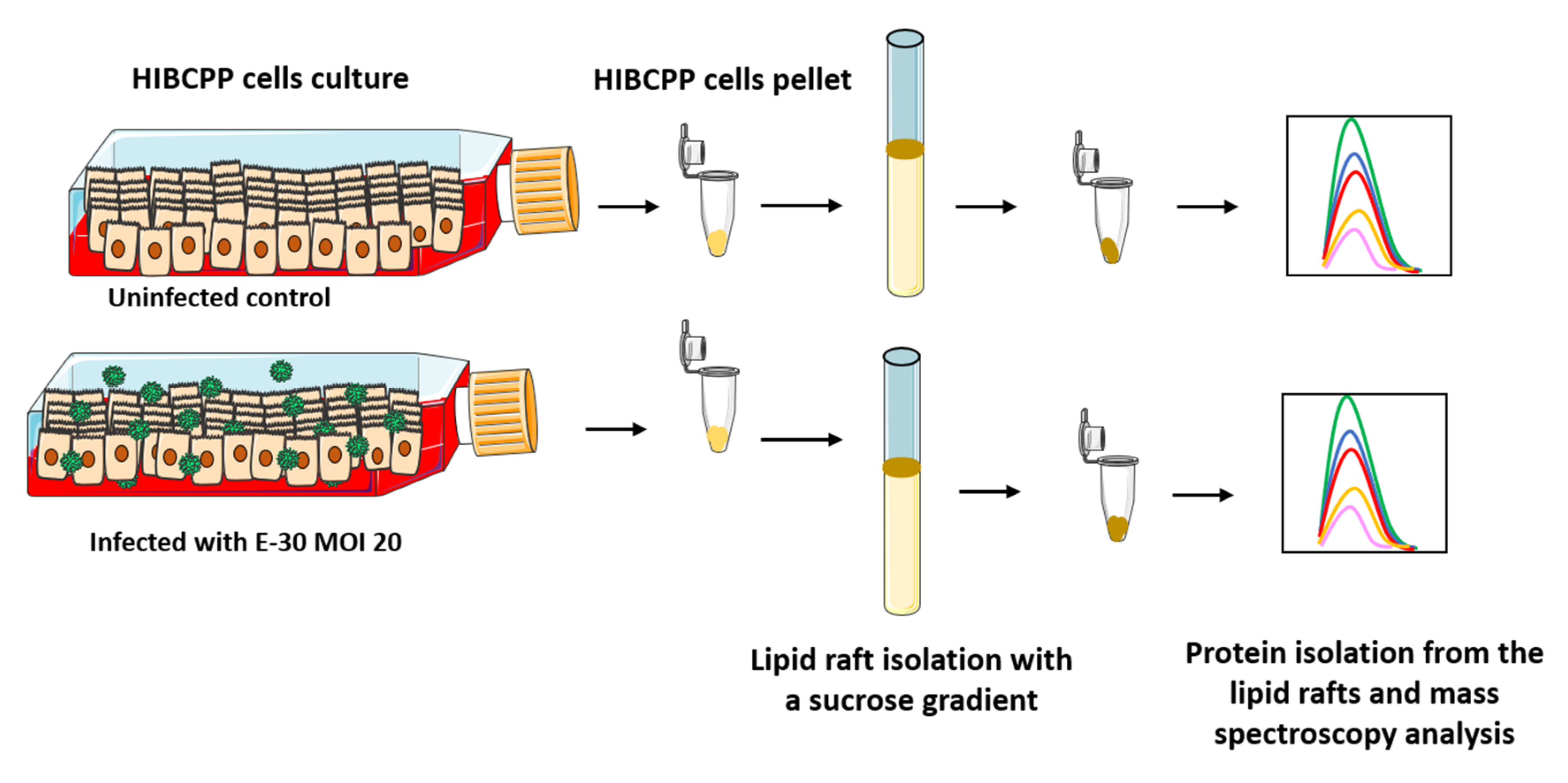 Microorganisms 08 01958 g001
