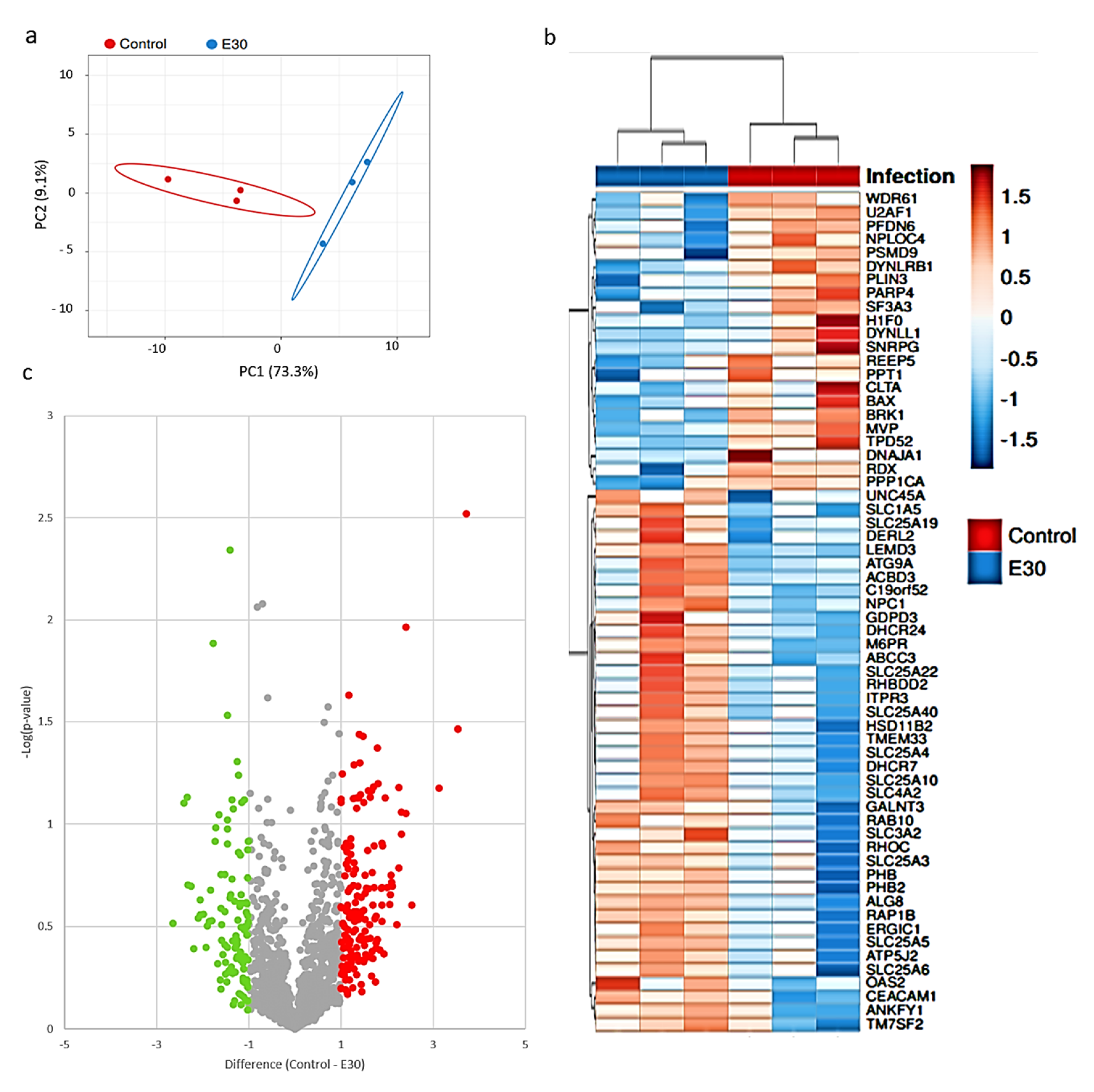 Microorganisms 08 01958 g004