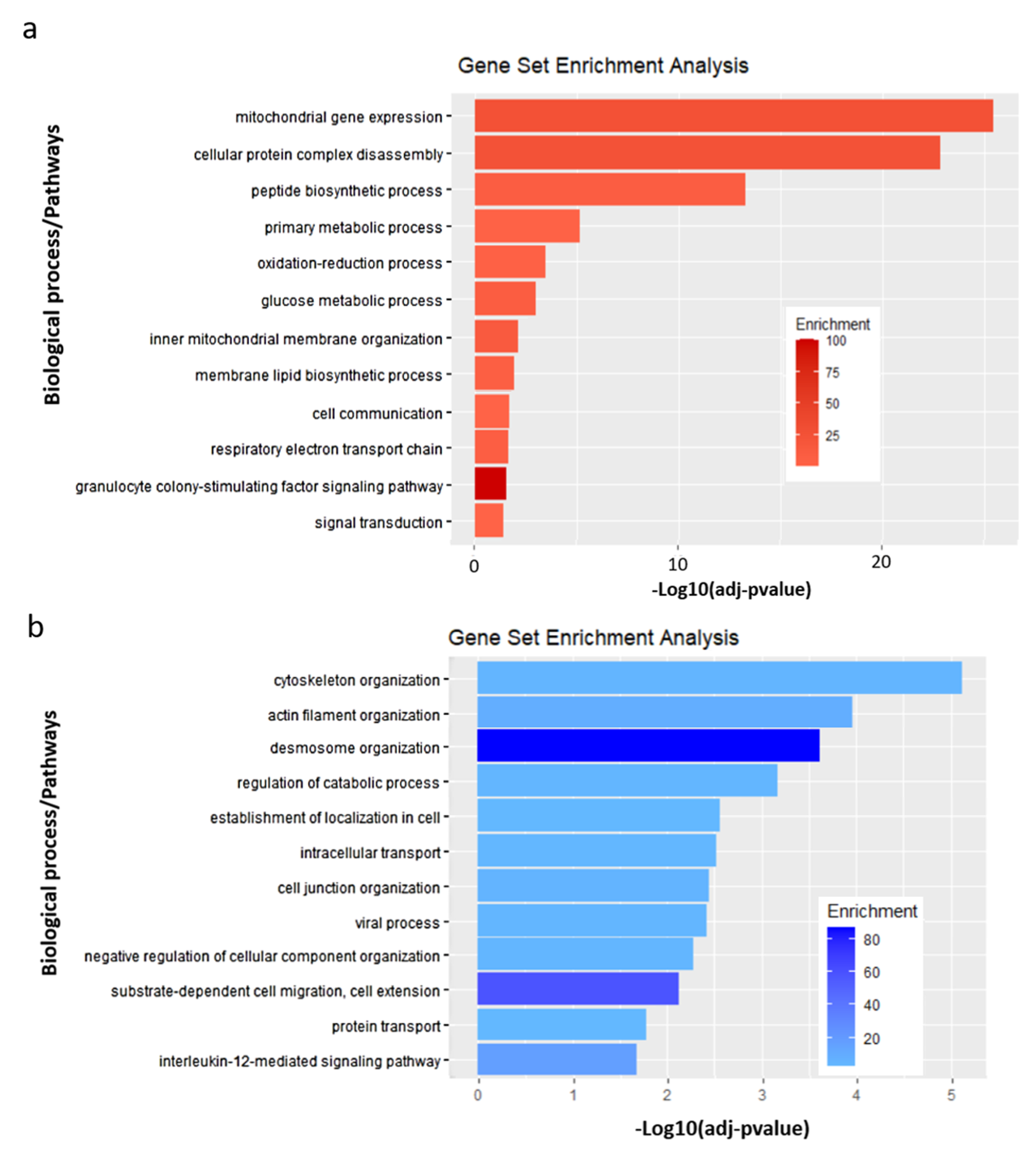 Microorganisms 08 01958 g005