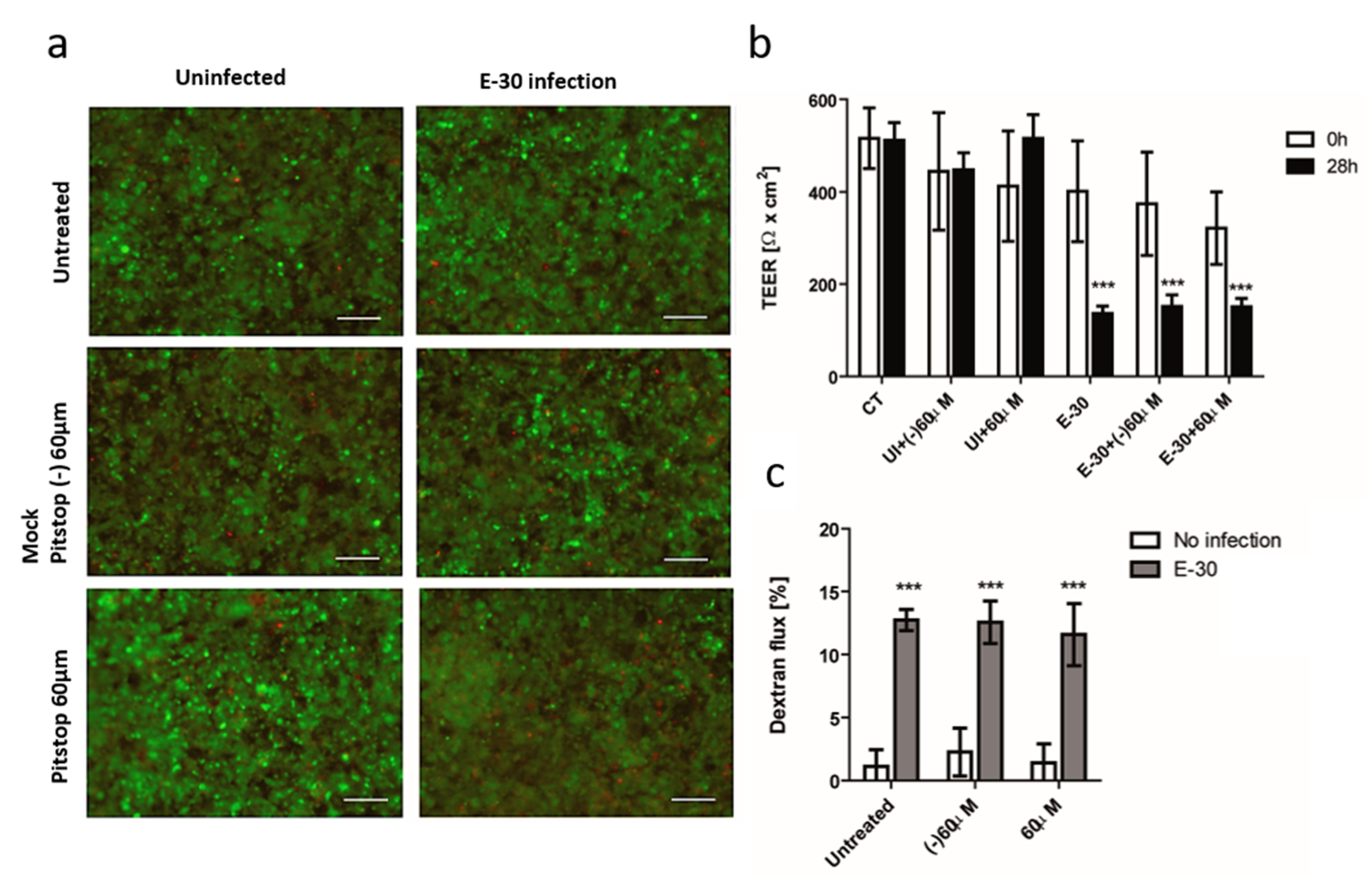 Microorganisms 08 01958 g008