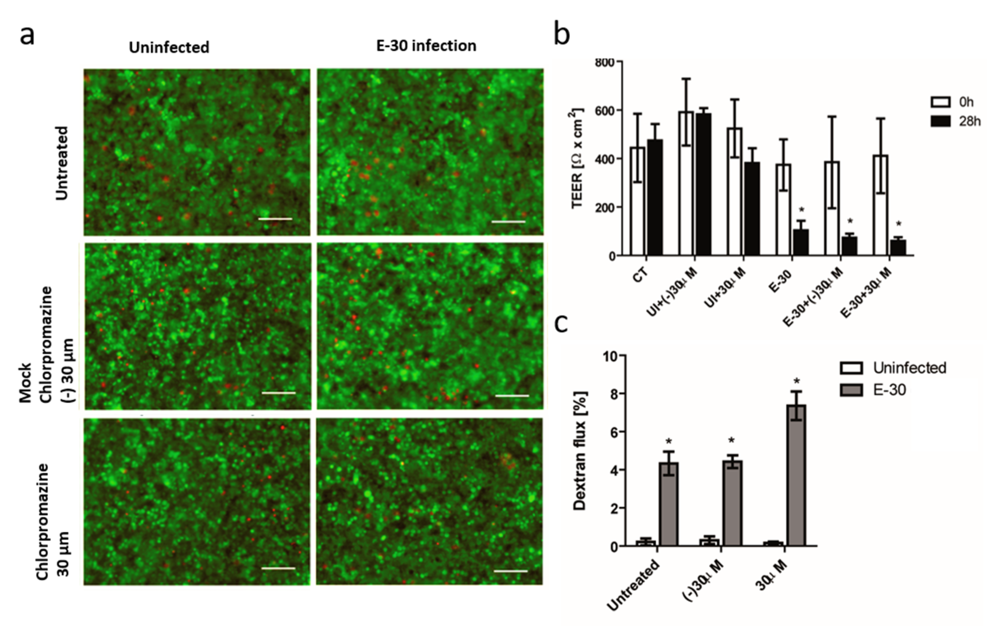 Microorganisms 08 01958 g009