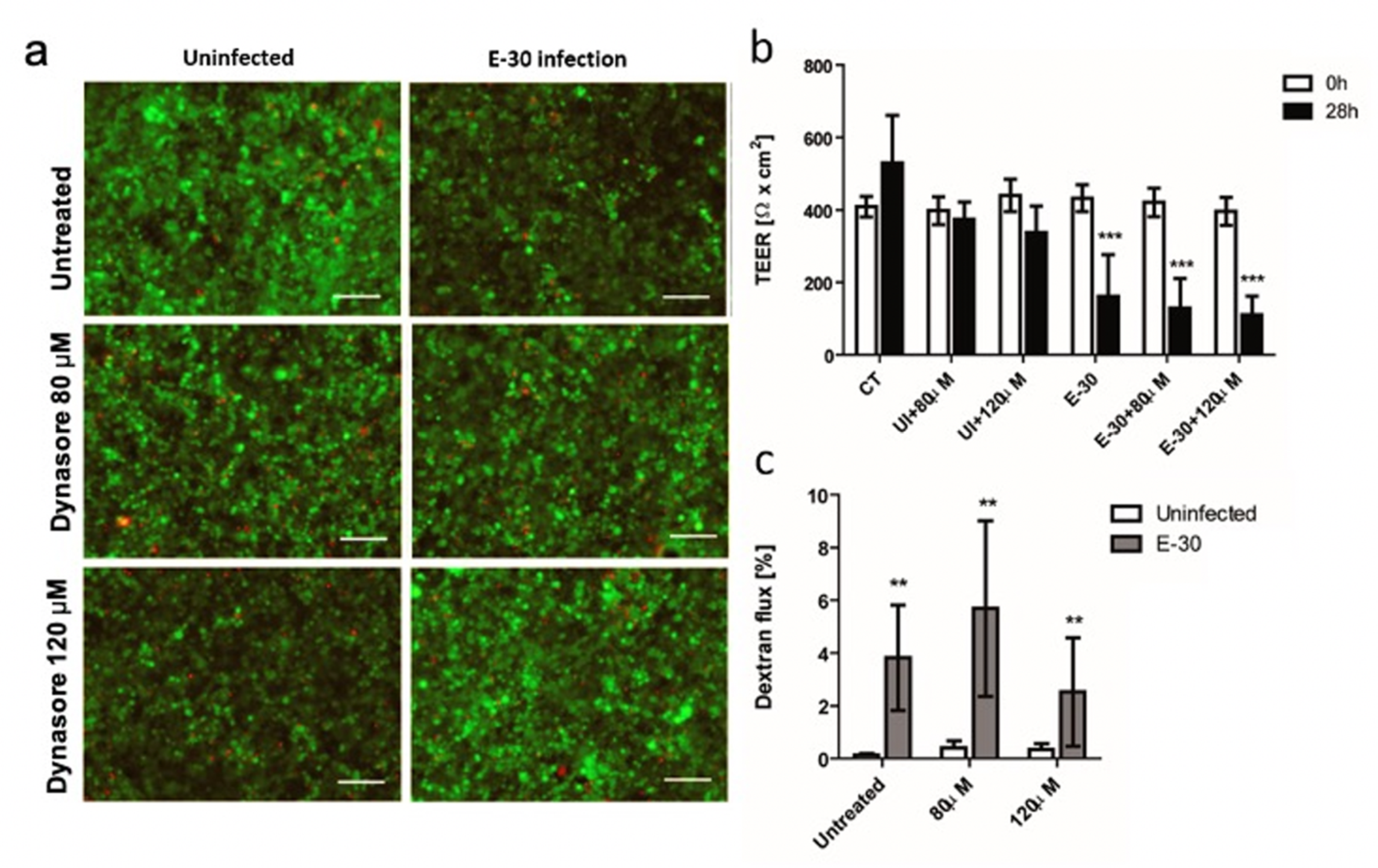 Microorganisms 08 01958 g010