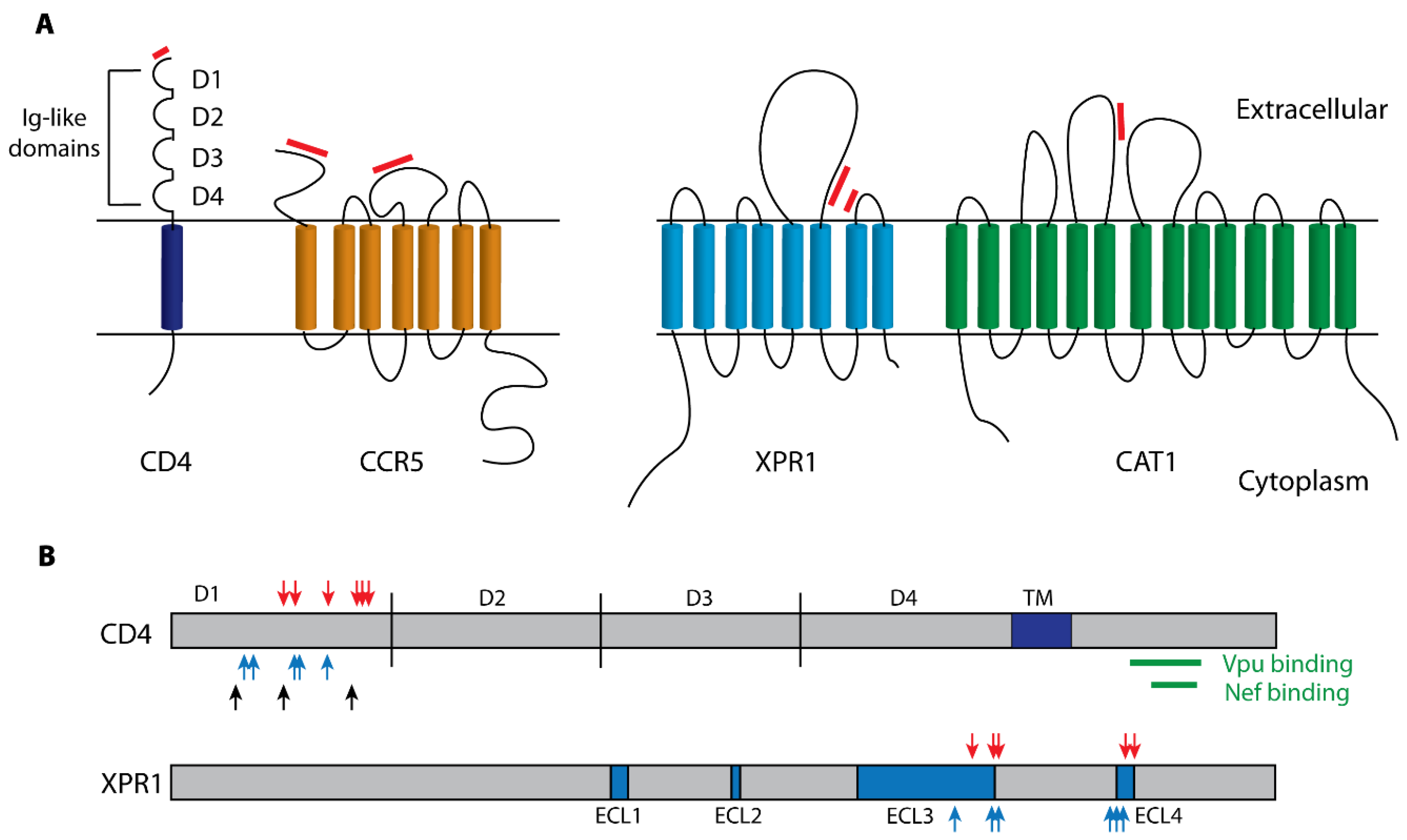 Microorganisms 08 01965 g002