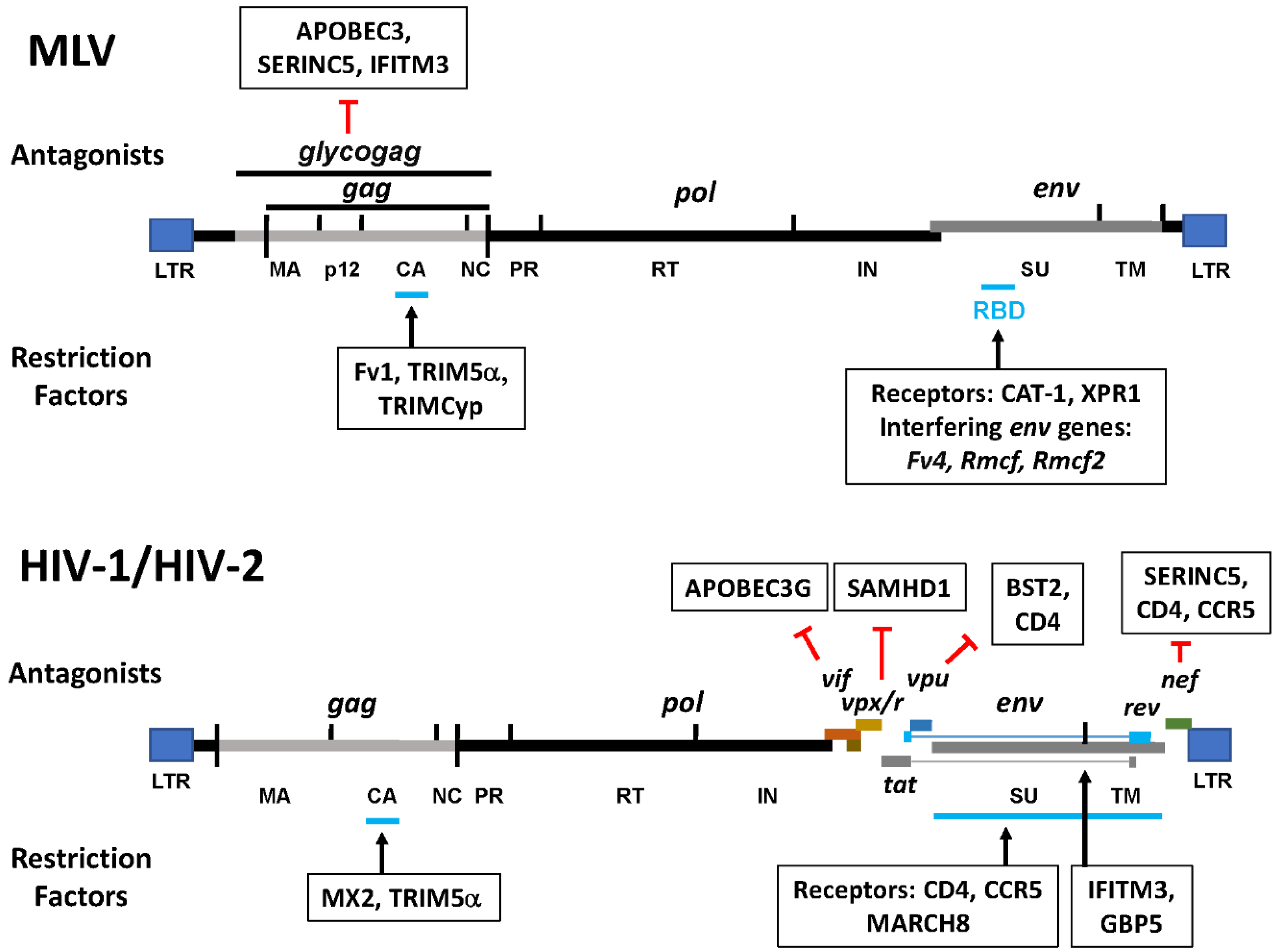 Microorganisms 08 01965 g005