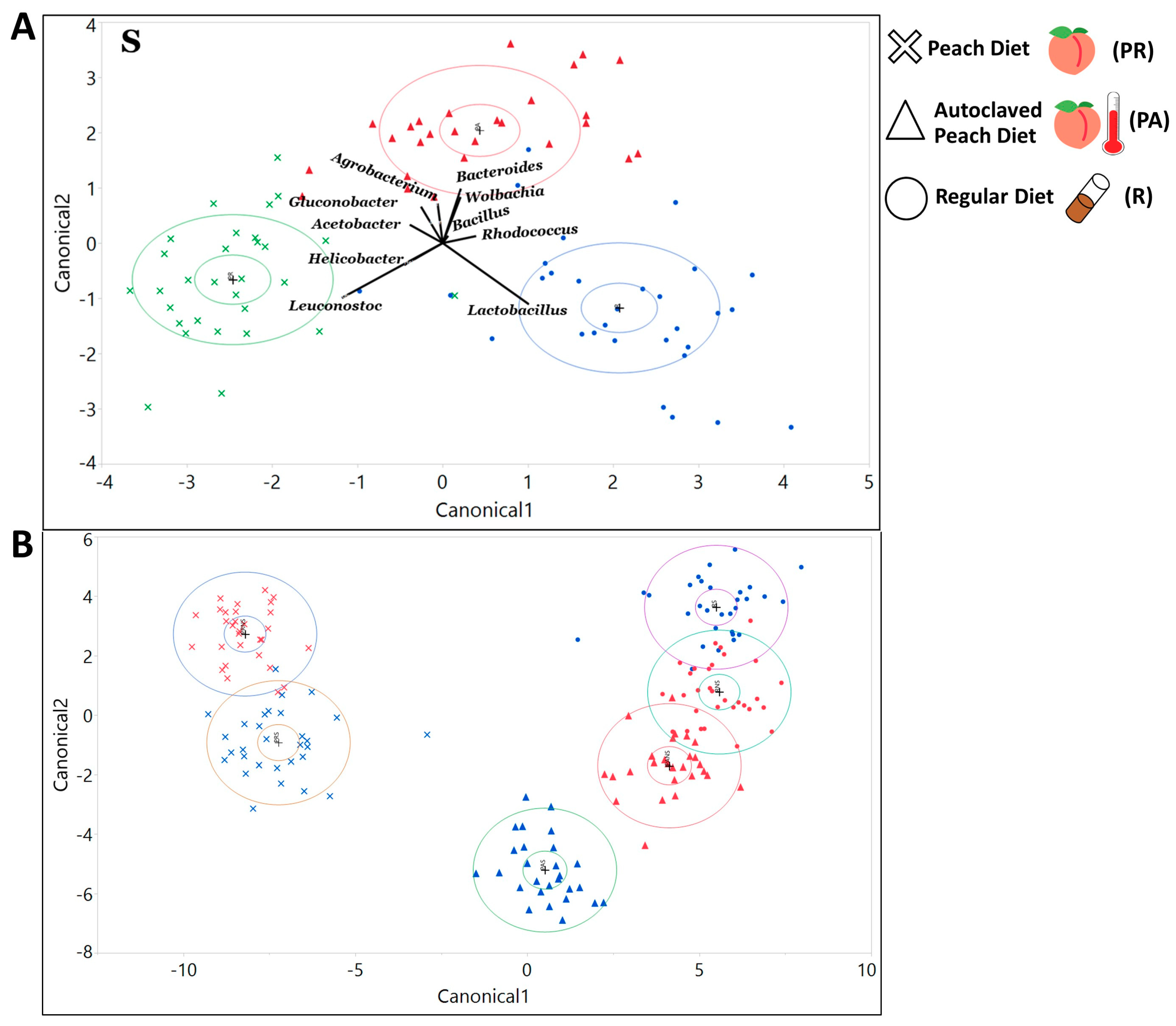 Microorganisms 08 01972 g003