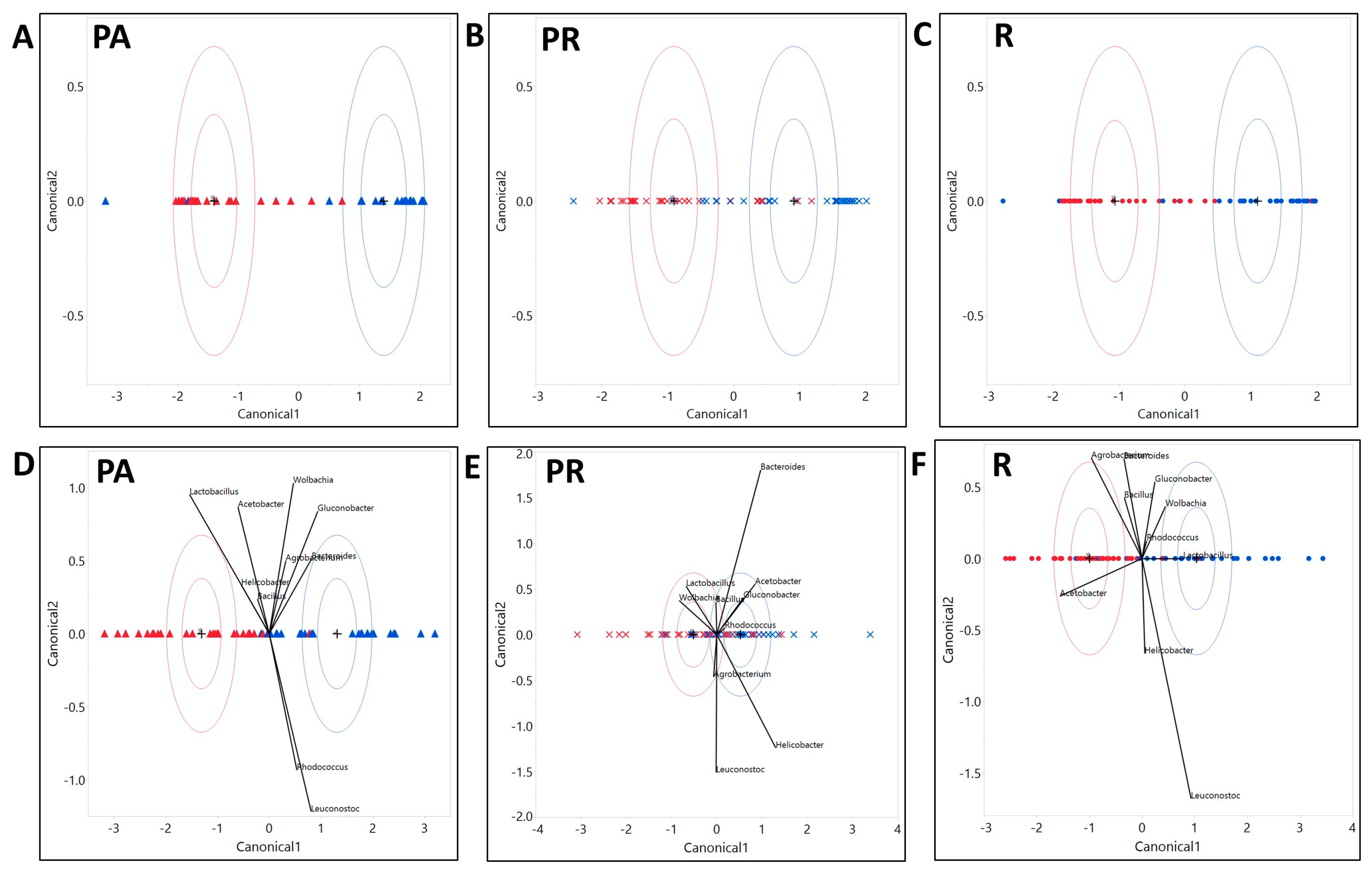 Microorganisms 08 01972 g005