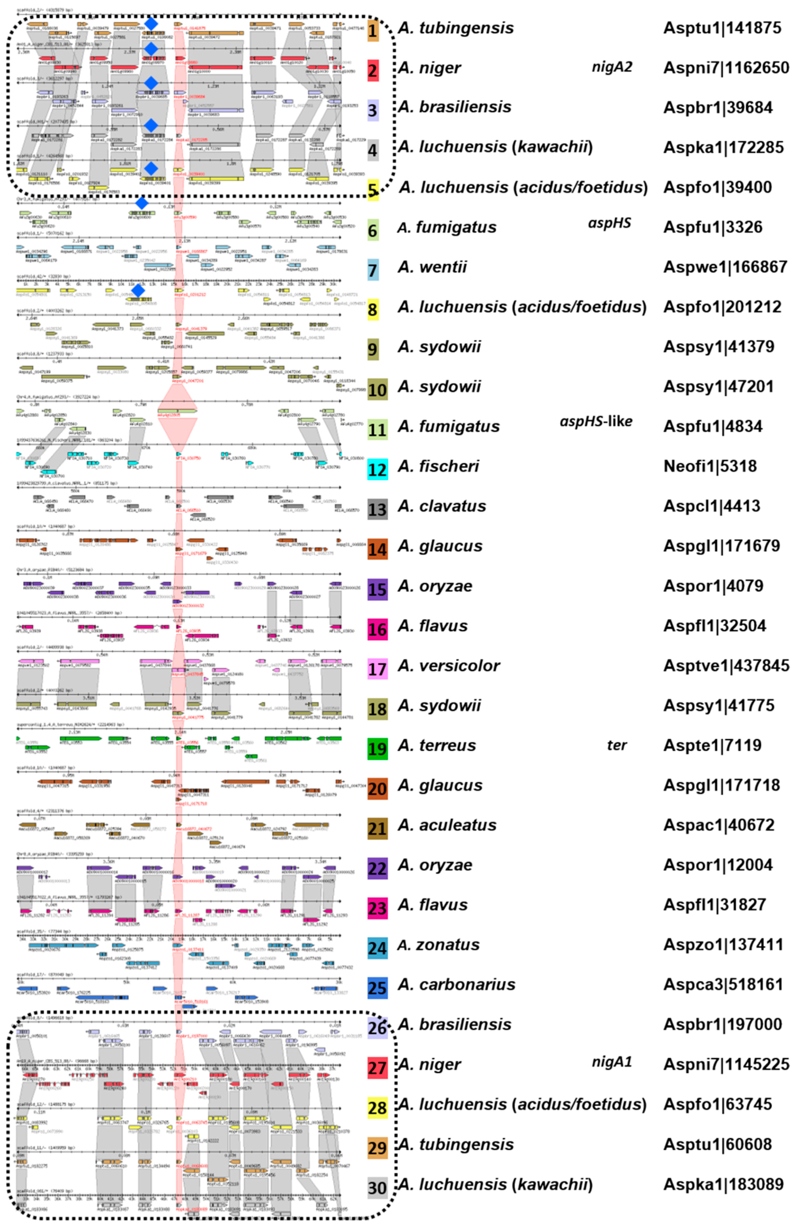 Microorganisms 08 01973 g009
