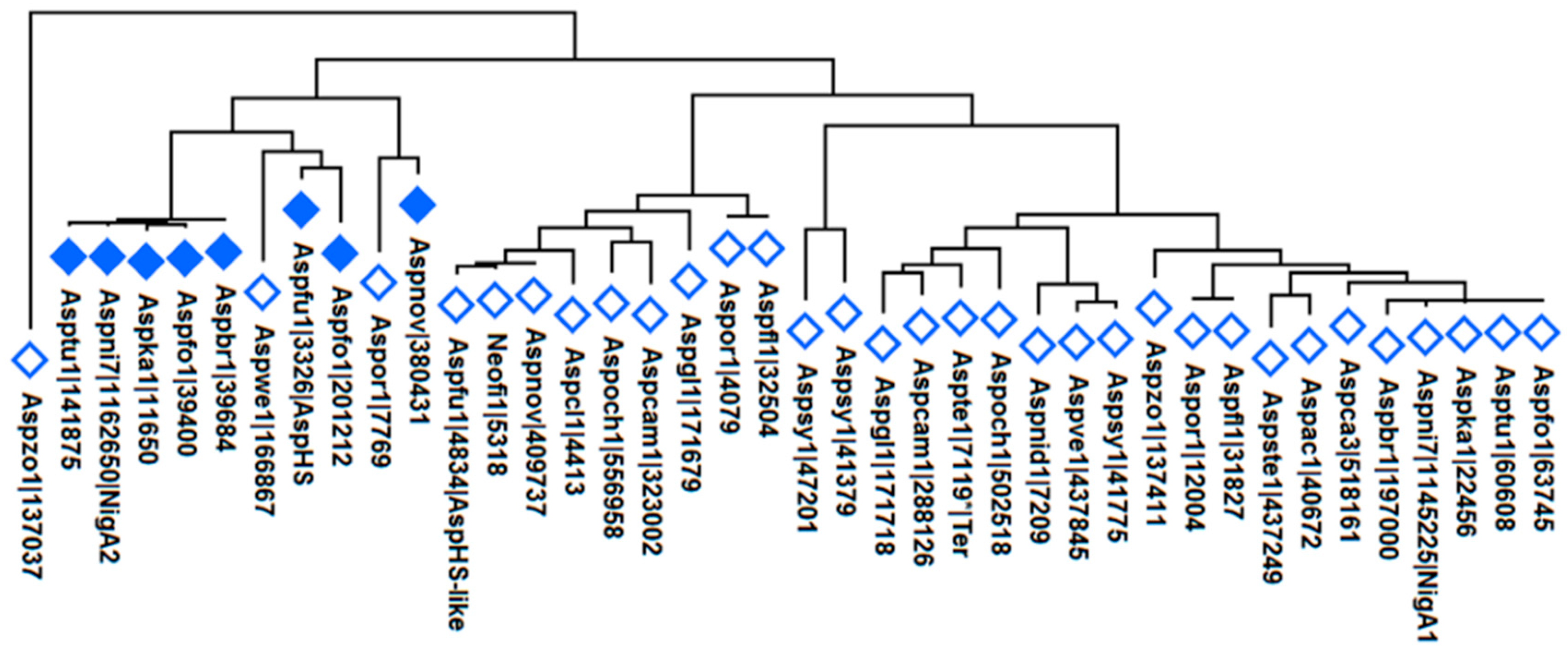 Microorganisms 08 01973 g010