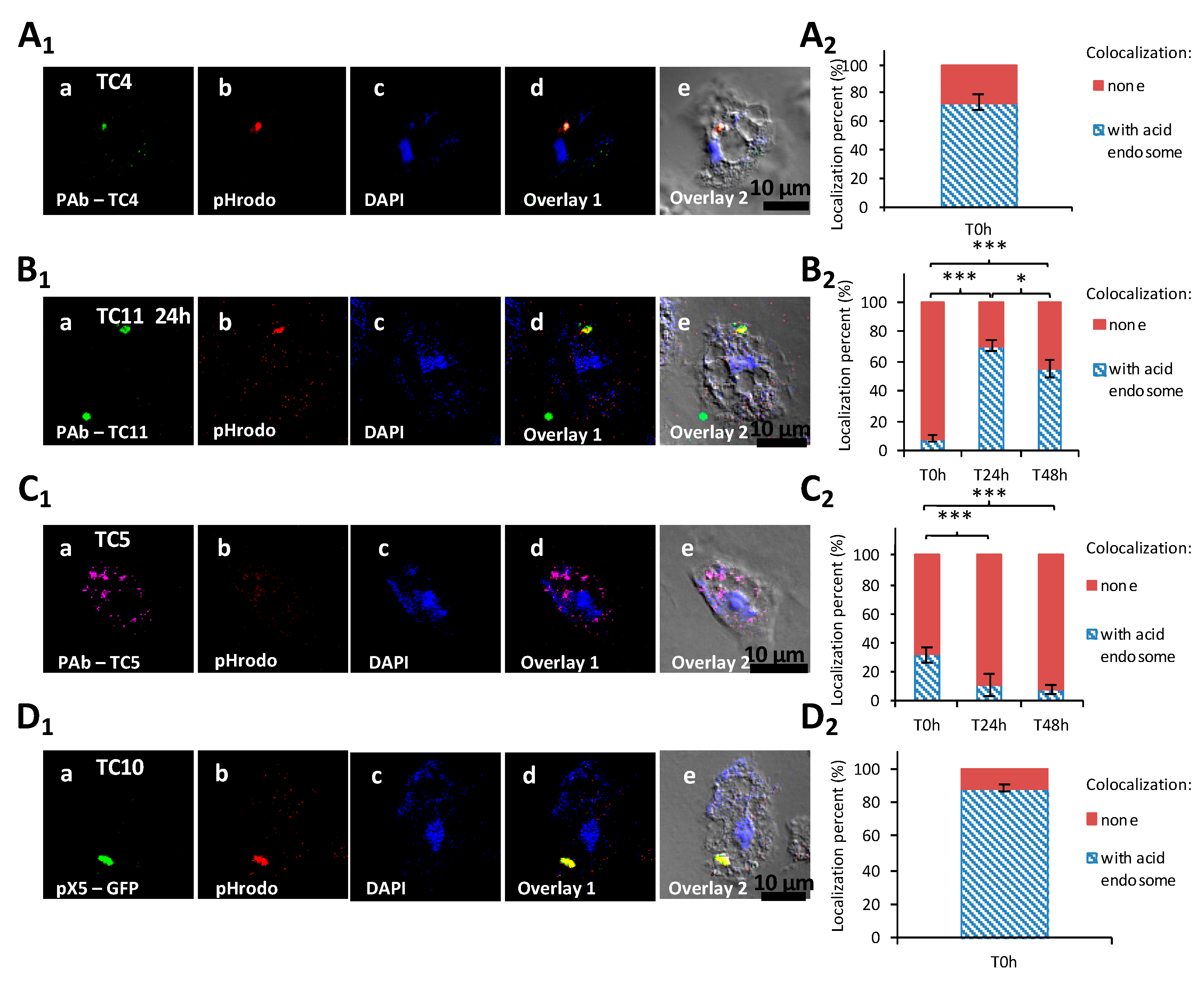 Microorganisms 08 01982 g005