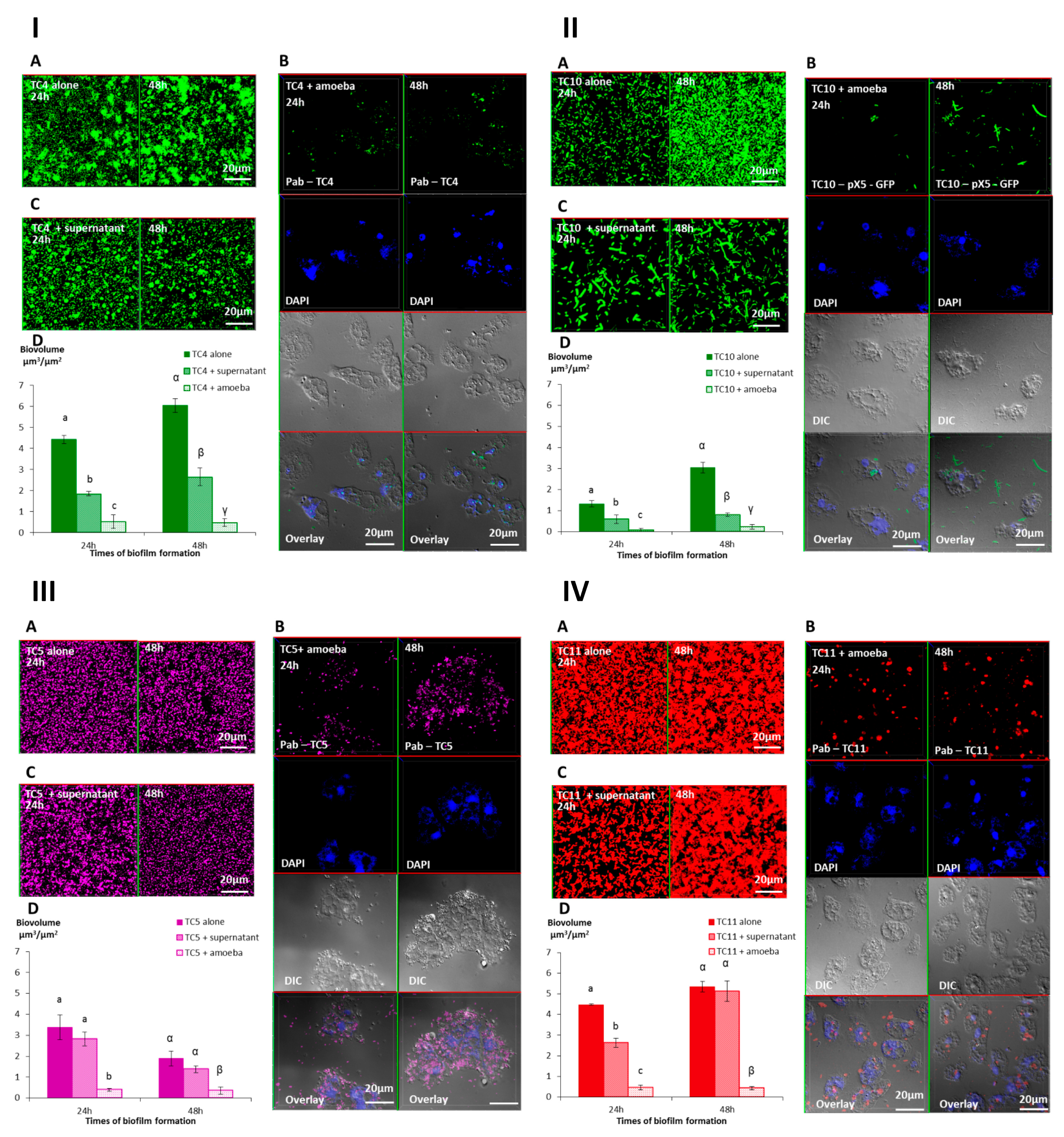 Microorganisms 08 01982 g006