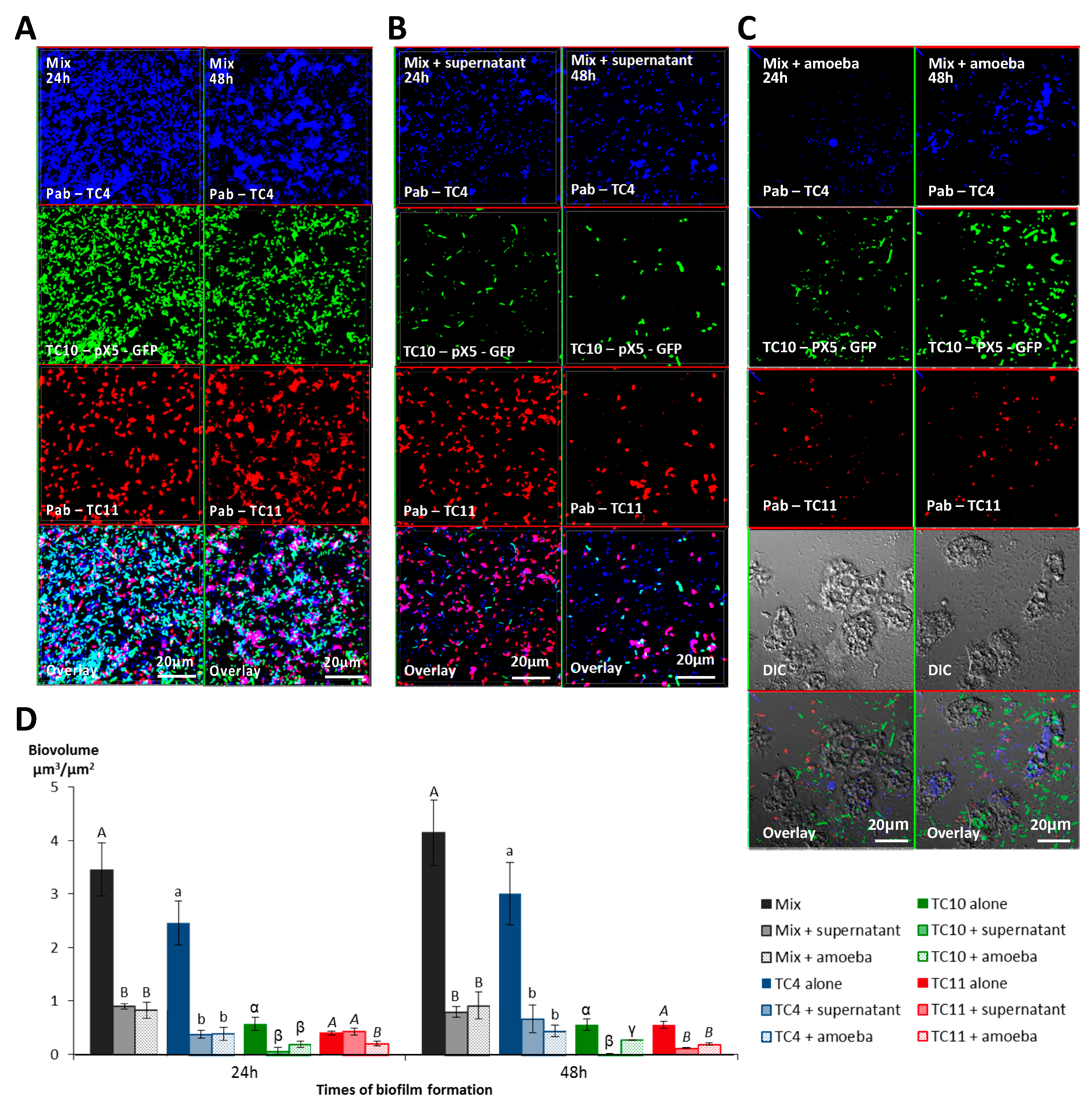 Microorganisms 08 01982 g007