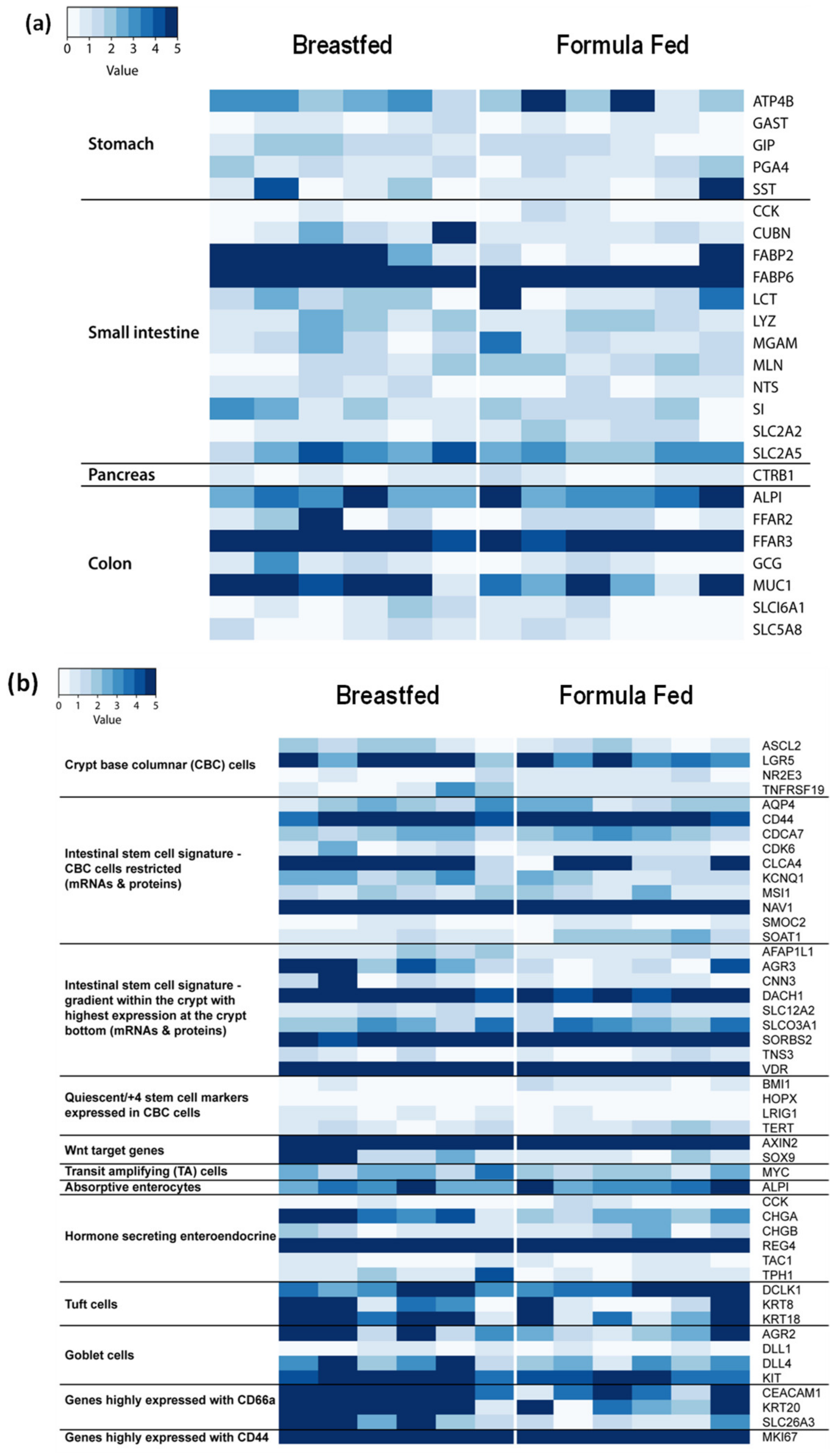 Microorganisms 08 02032 g001