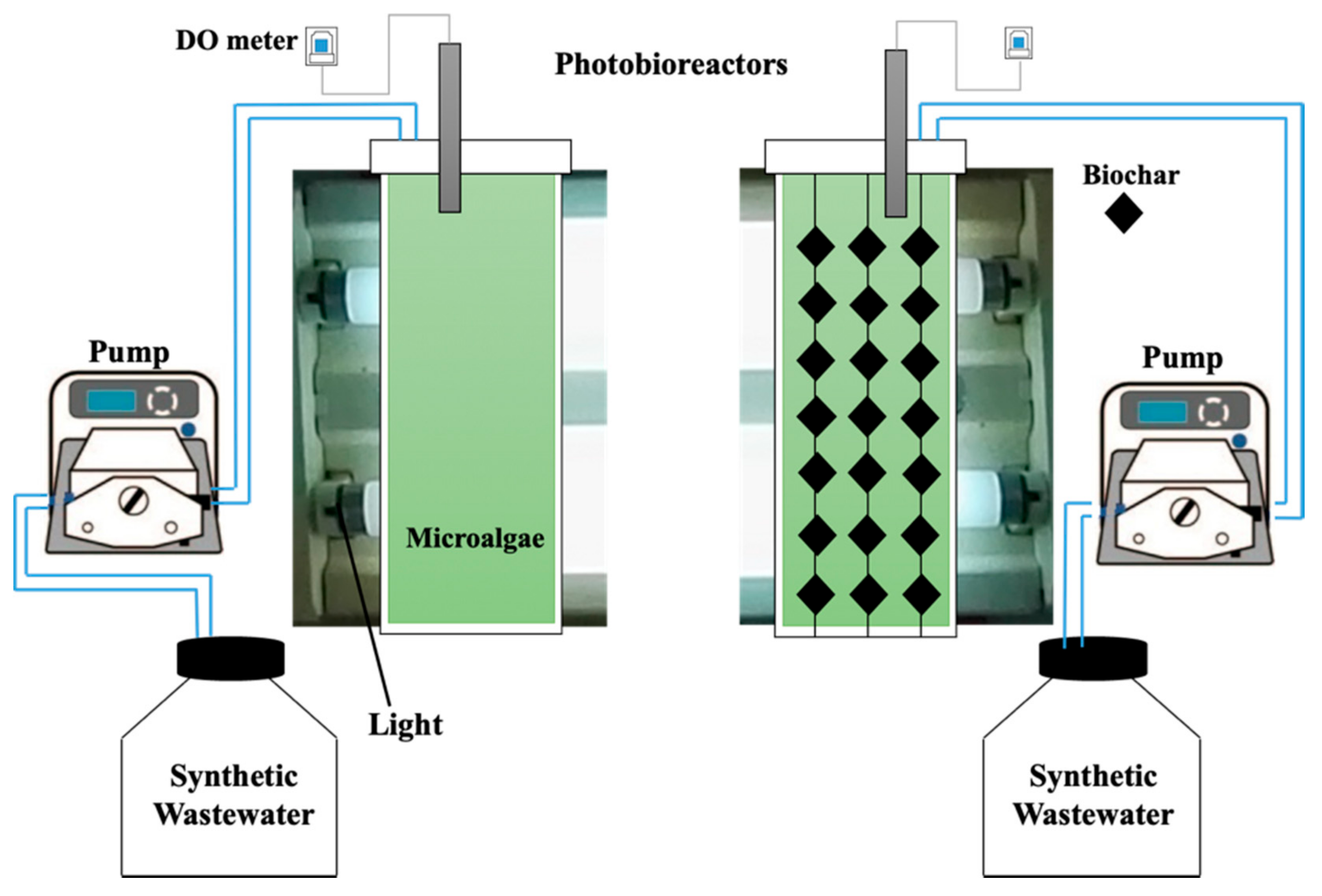Microorganisms 09 00004 g001