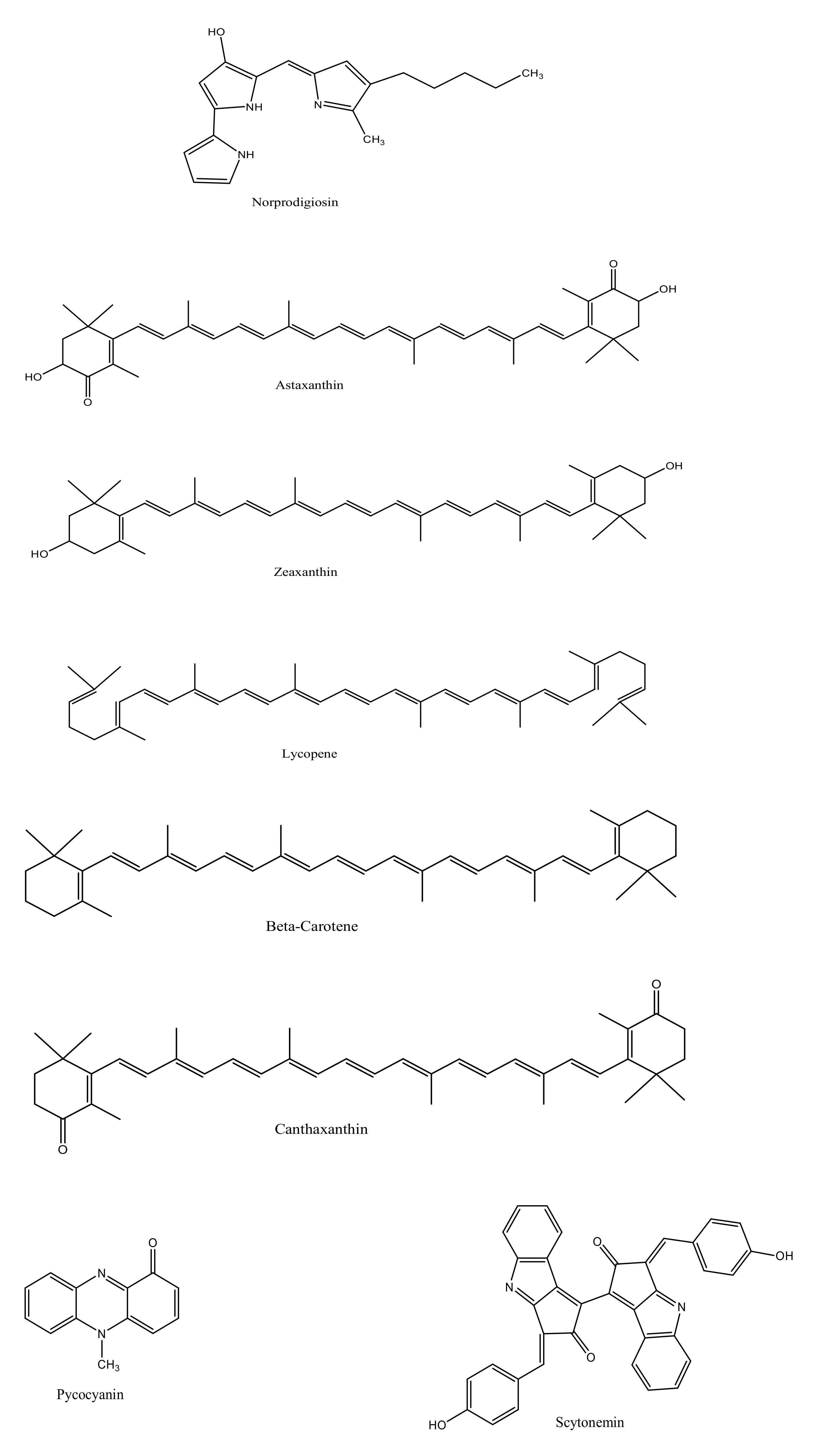 Microorganisms 09 00011 g001b Microorganisms 09 00011 g001b
