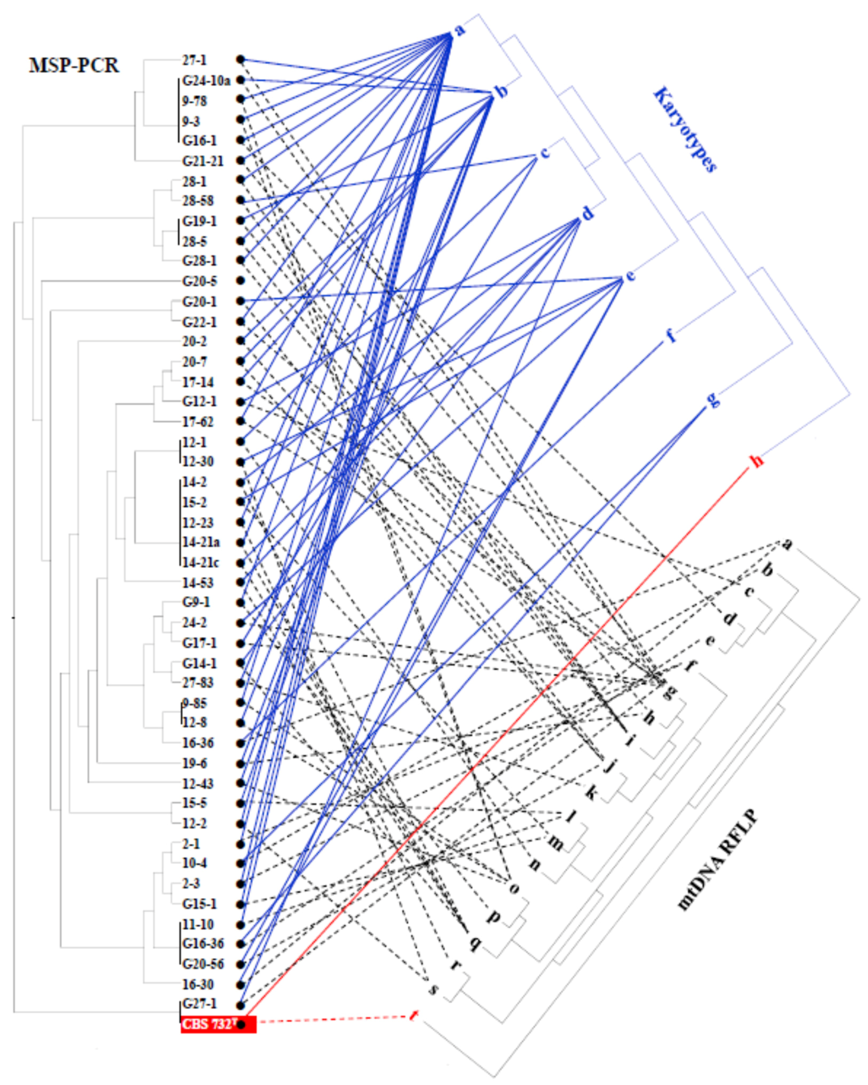 Microorganisms Free Full Text Vinification Without Saccharomyces Interacting Osmotolerant And Spoilage Yeast Communities In Fermenting And Ageing Botrytised High Sugar Wines Tokaj Essence Html