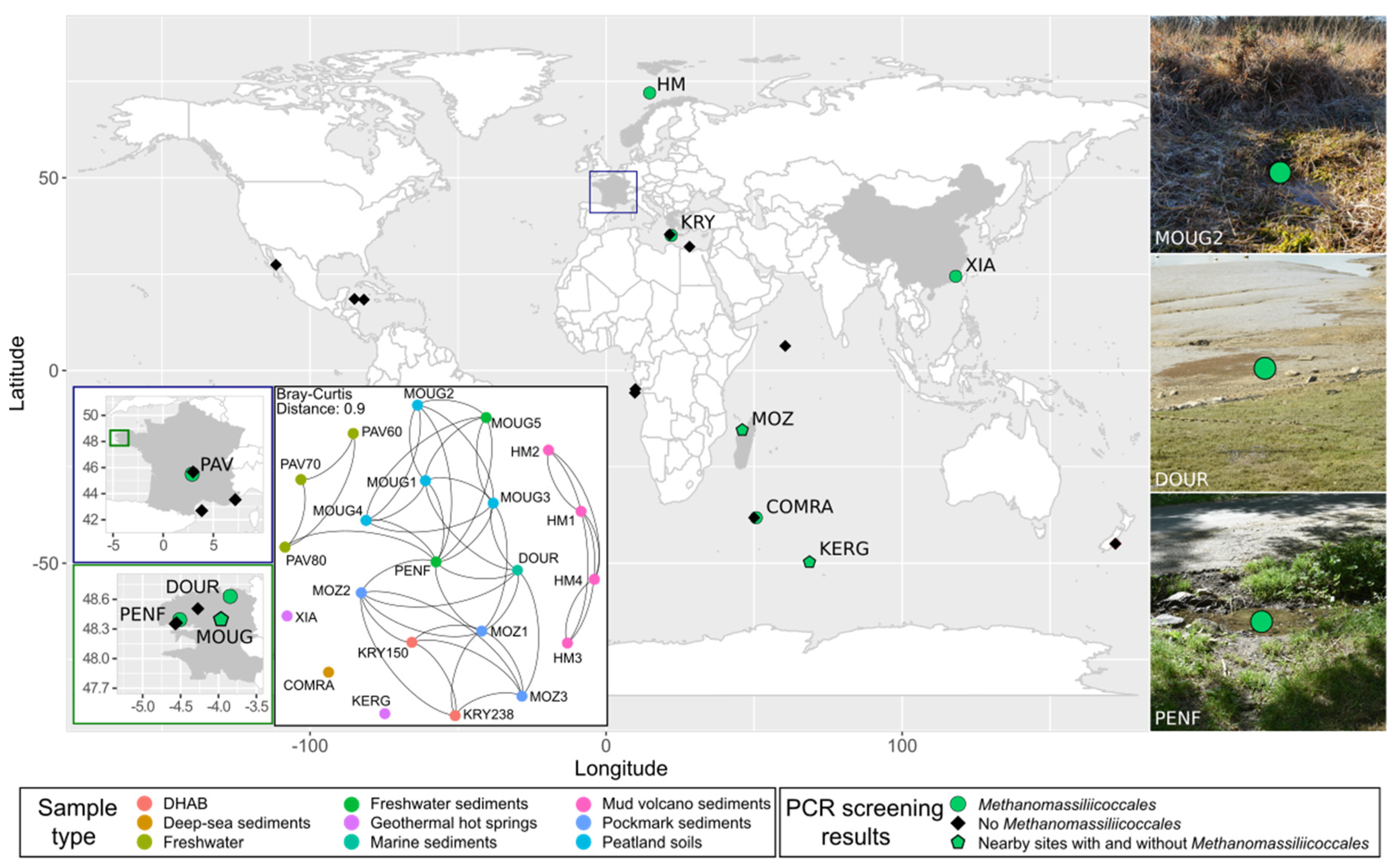 Microorganisms Free Full Text New Insights Into The Ecology And Physiology Of Methanomassiliicoccales From Terrestrial And Aquatic Environments Html