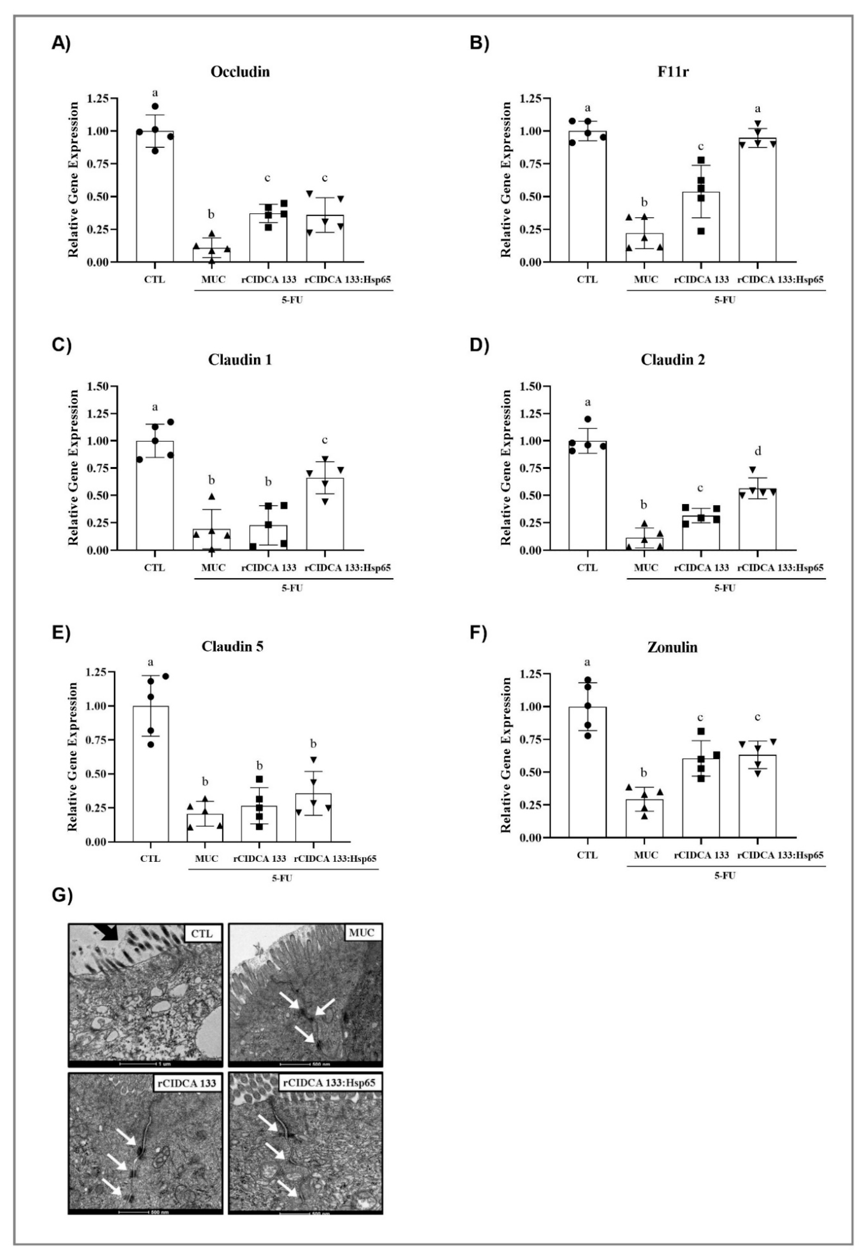 Microorganisms Free Full Text Intake Of Lactobacillus Delbrueckii Pexu Hsp65 Prevents The Inflammation And The Disorganization Of The Intestinal Mucosa In A Mouse Model Of Mucositis Html