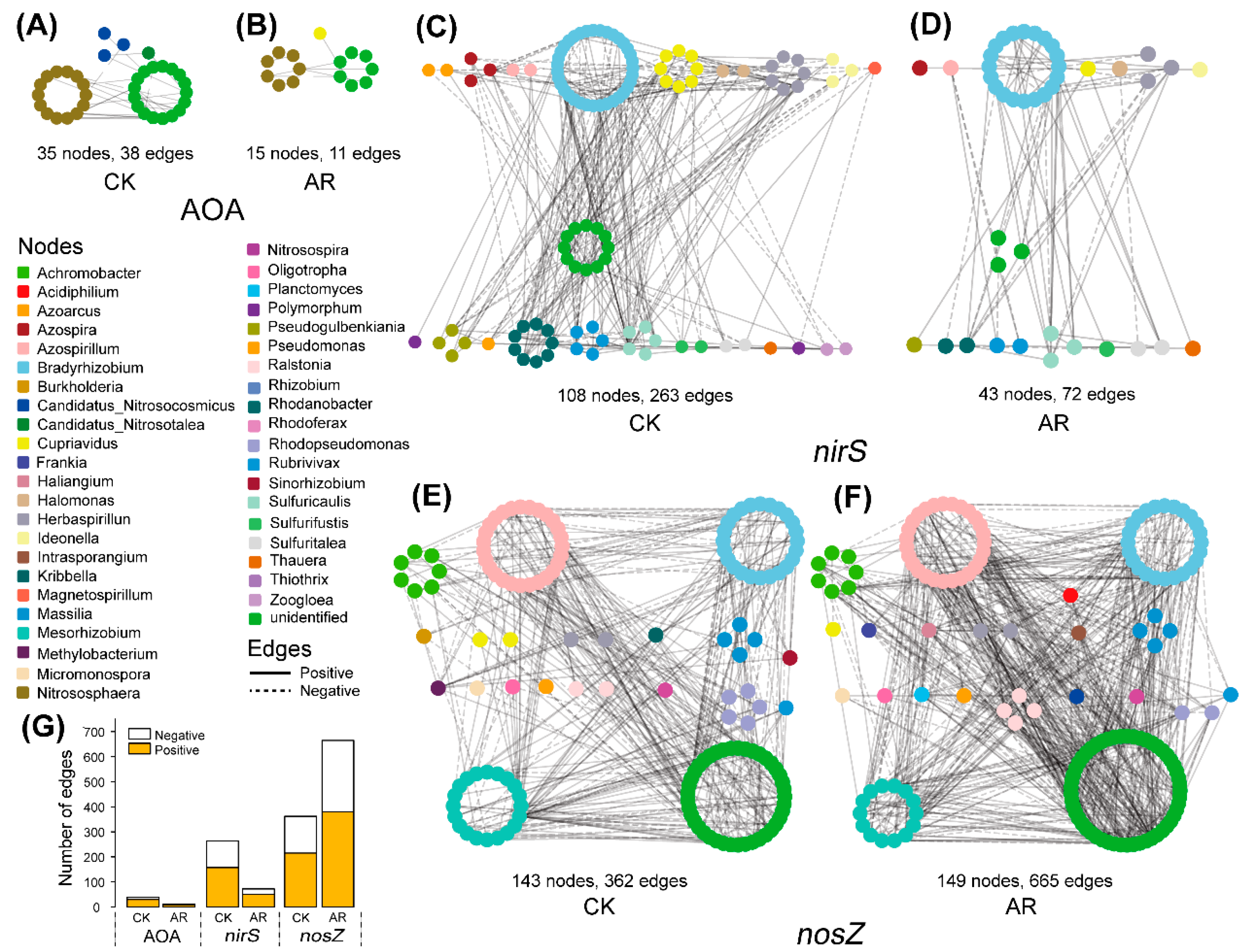 Co-occurrence Network.