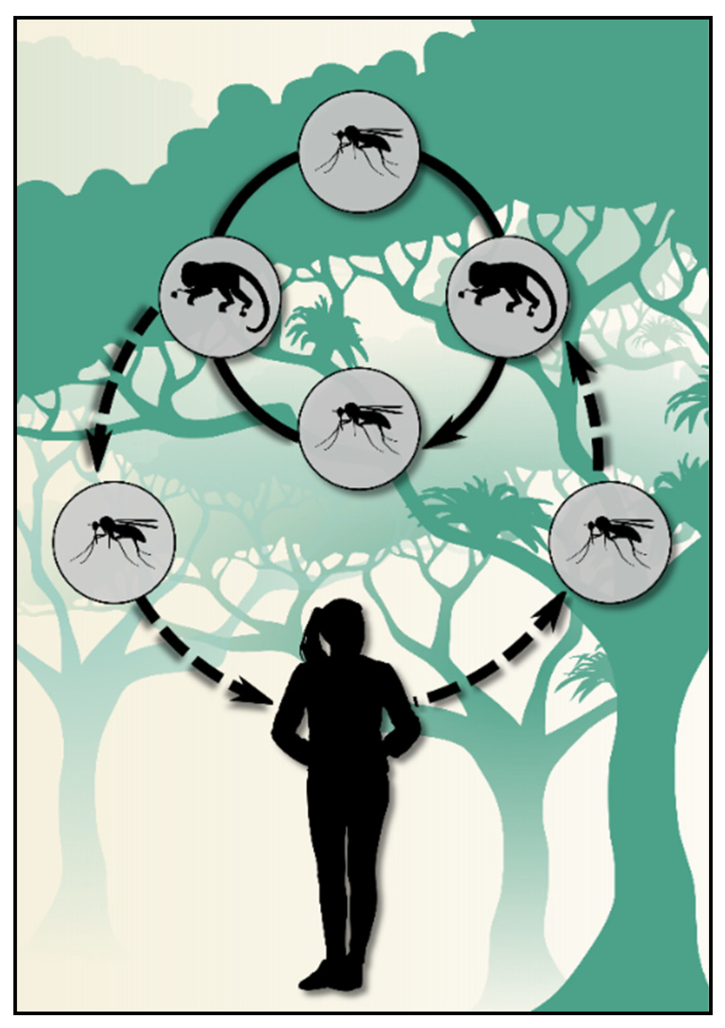 Microorganisms | Free Full-Text | Atlantic Forest Malaria: A Review of ...