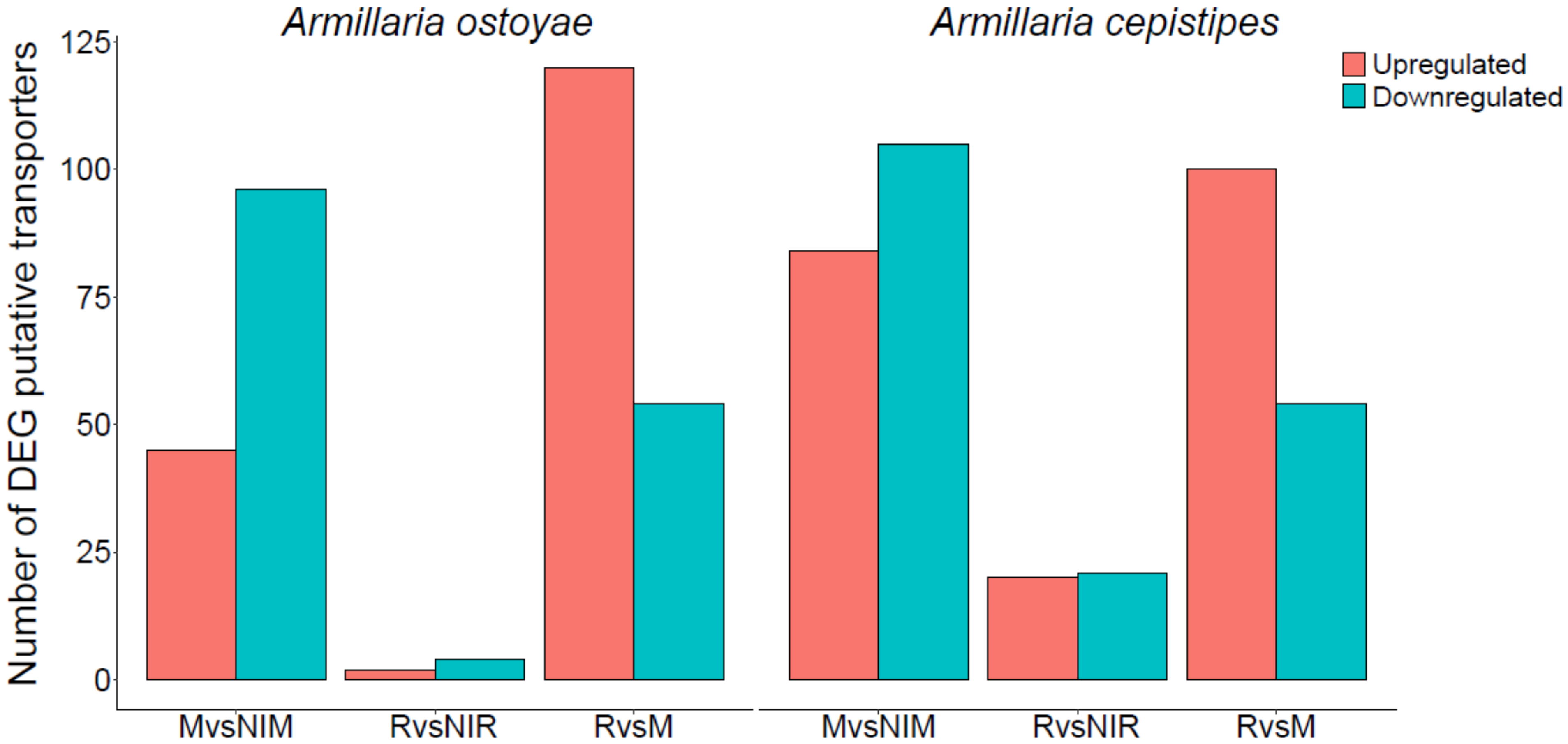 Microorganisms 09 00149 g006 Microorganisms 09 00149 g006