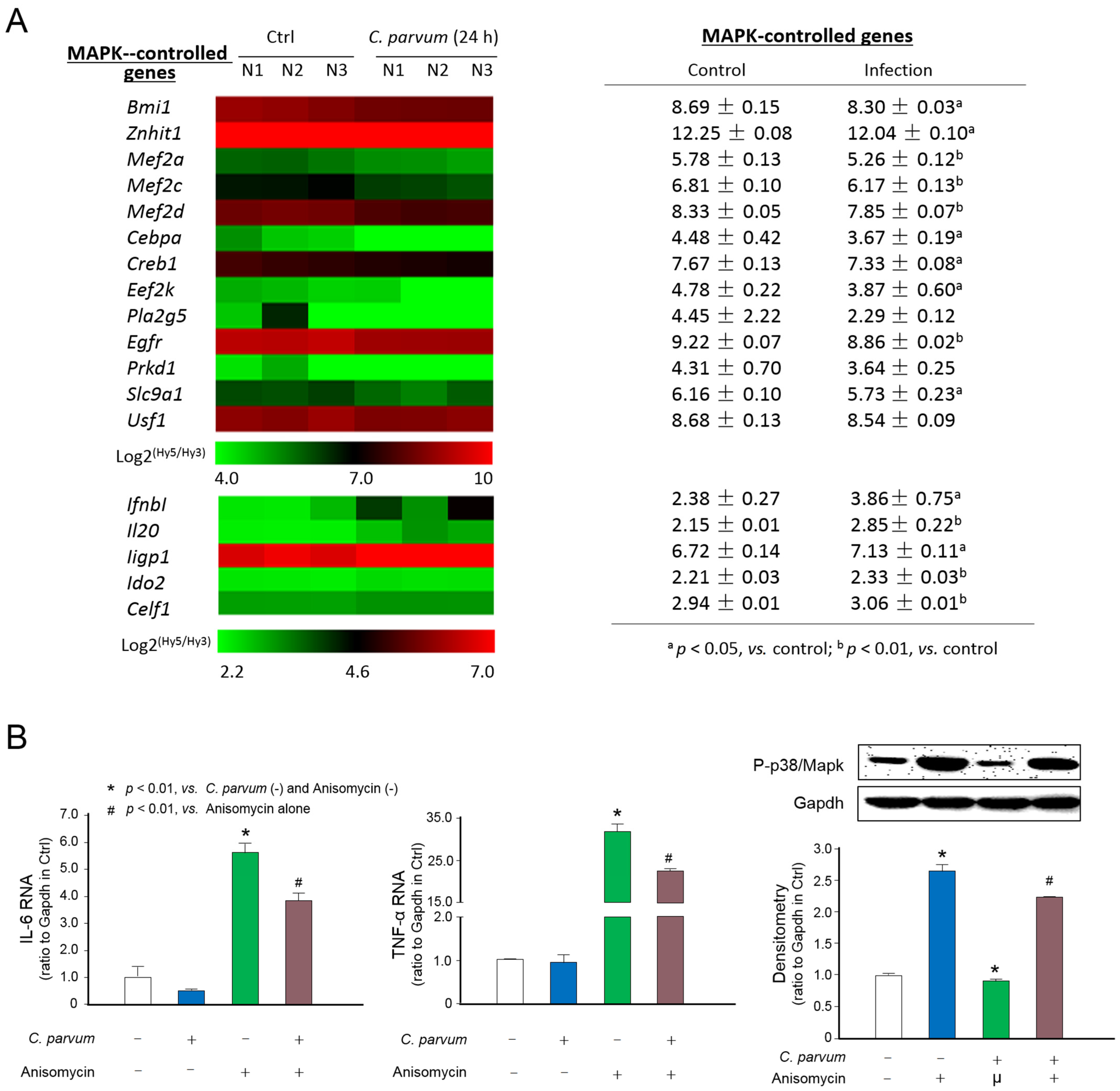 Microorganisms 09 00151 g001 Microorganisms 09 00151 g001