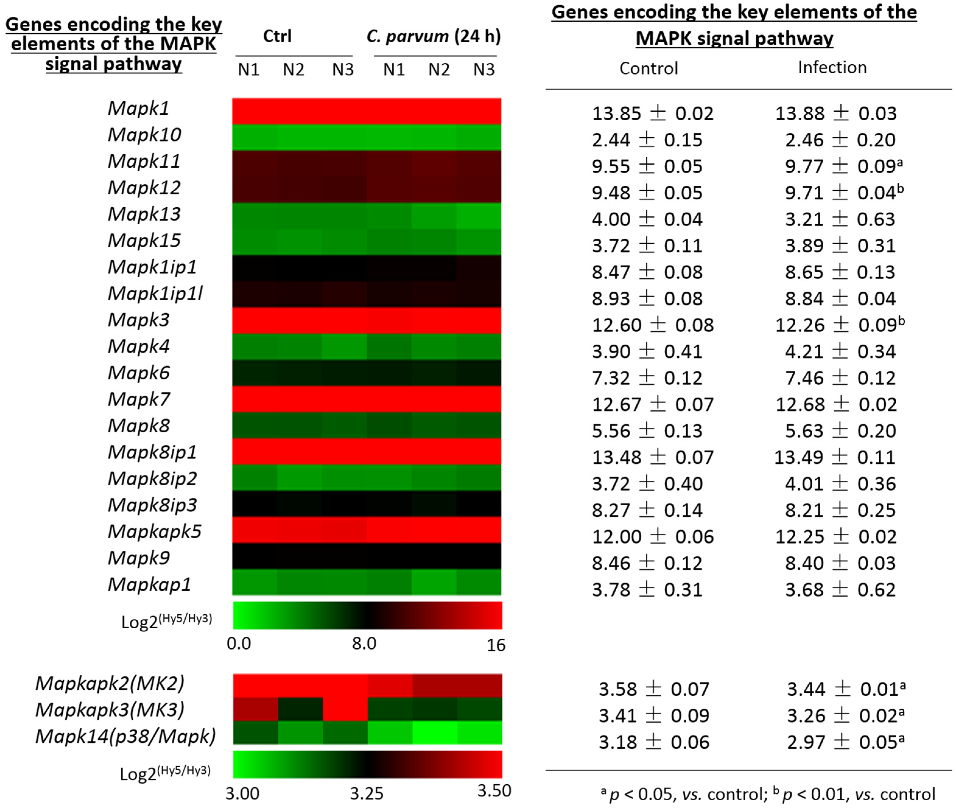 Microorganisms 09 00151 g002 Microorganisms 09 00151 g002